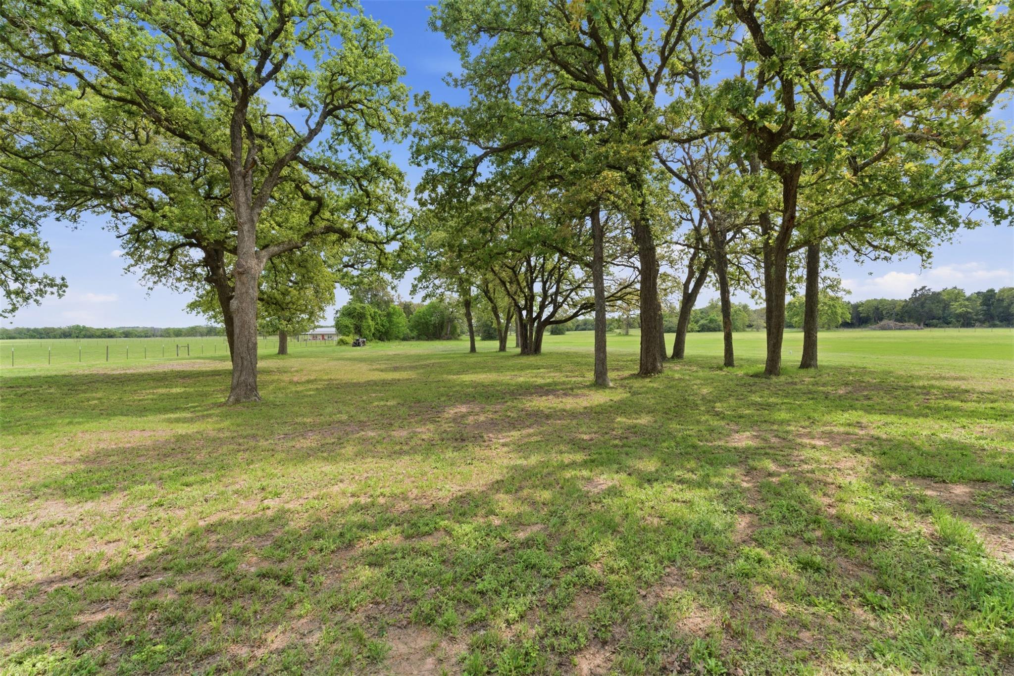 1145 W County Road 415, Lexington, TX 78947