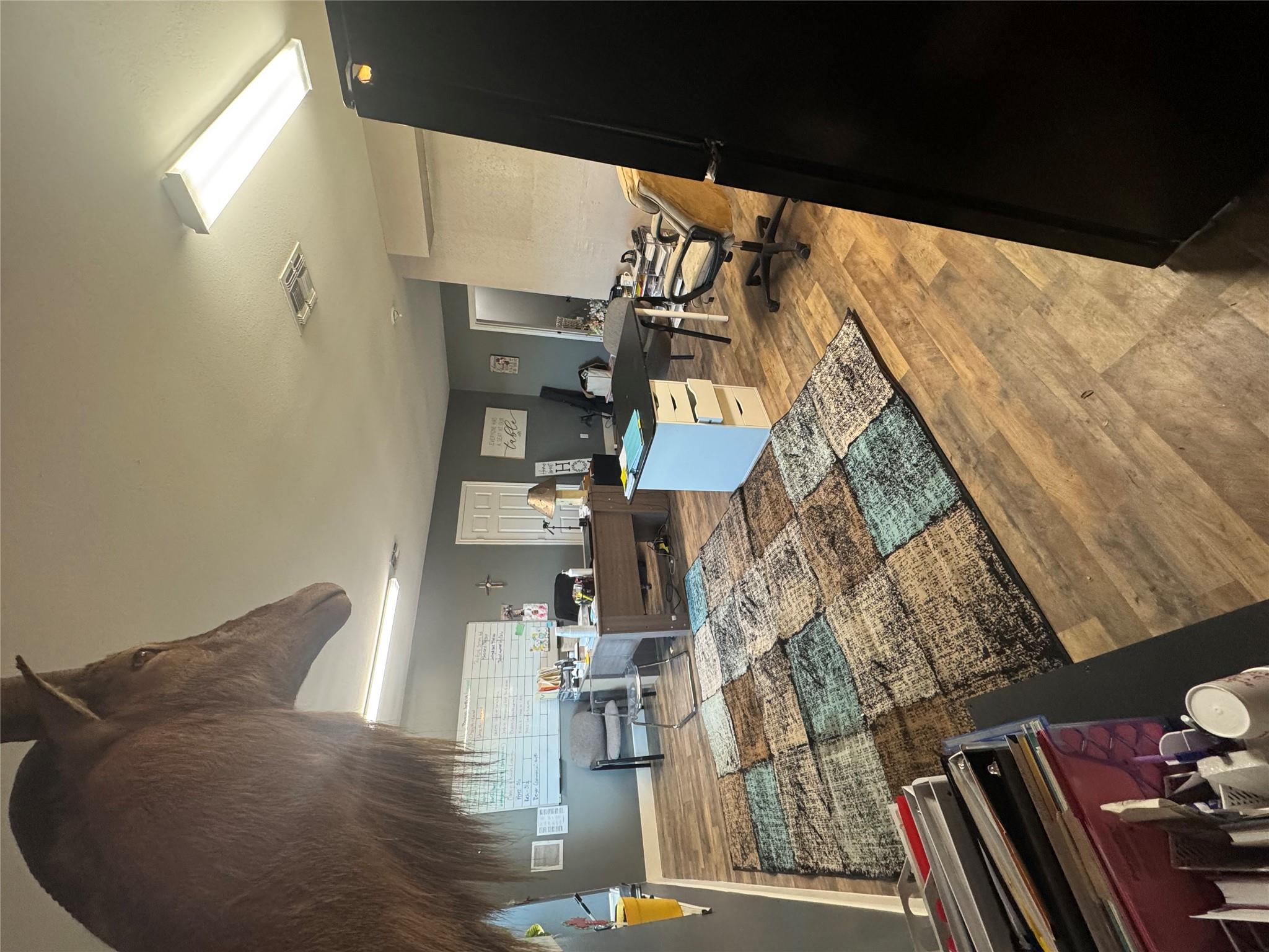 San Marcos, TX 78666