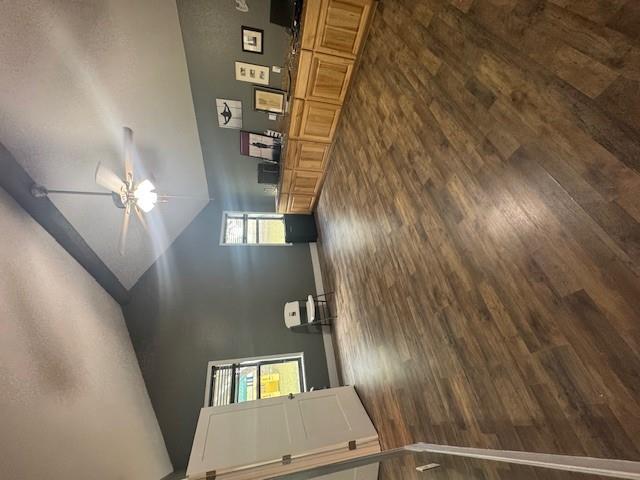 San Marcos, TX 78666