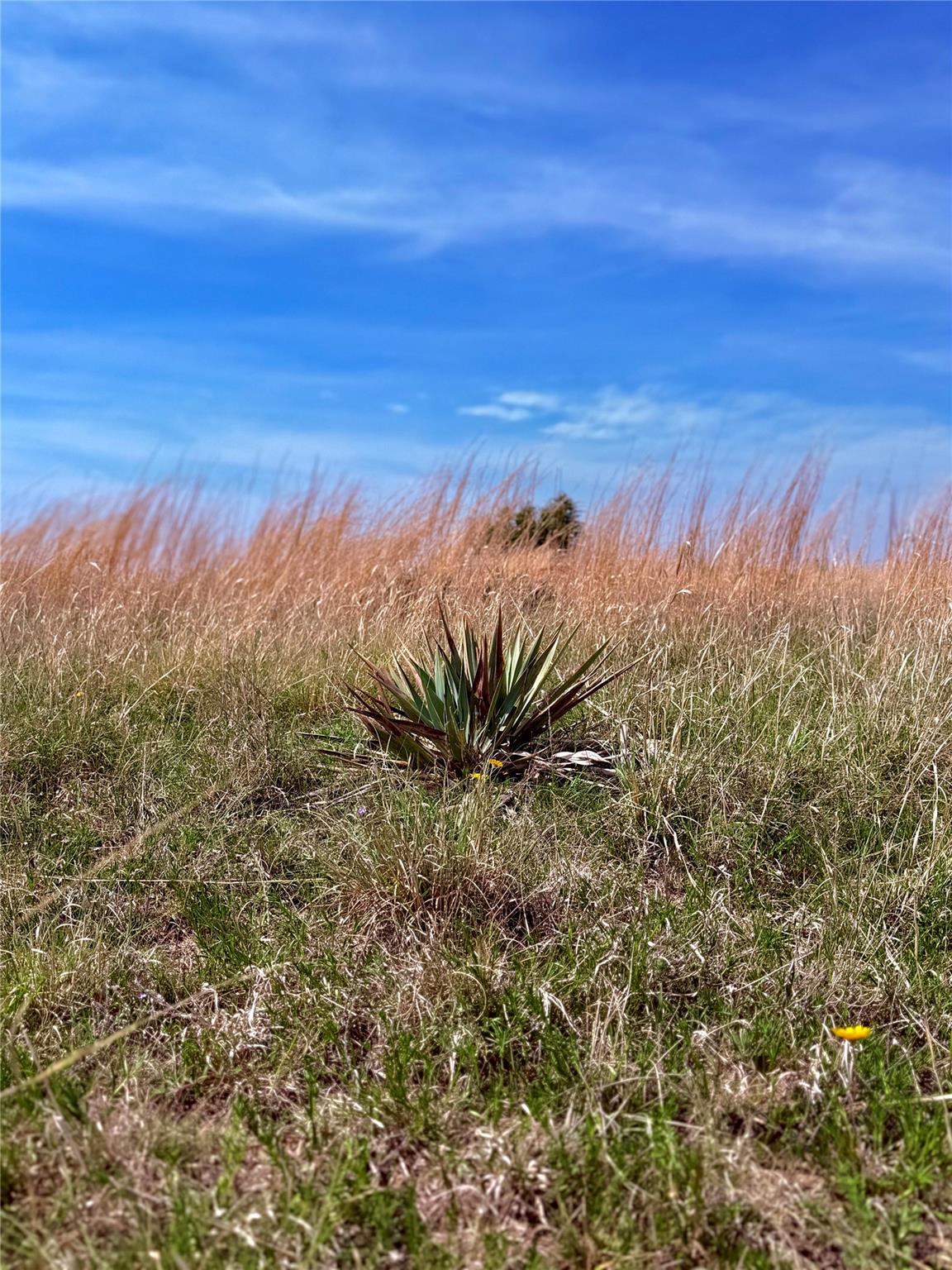 39 330, Goldthwaite, TX 76844