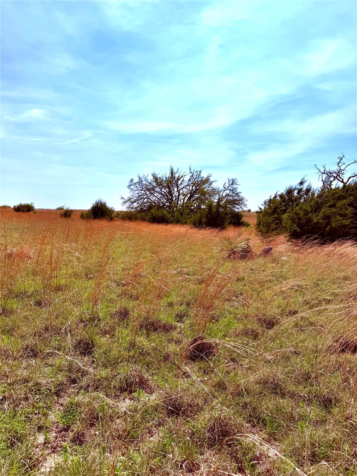 39 330, Goldthwaite, TX 76844