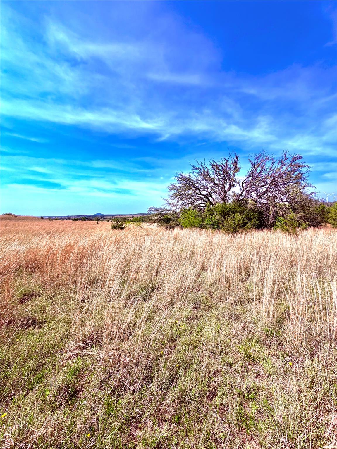 39 330, Goldthwaite, TX 76844