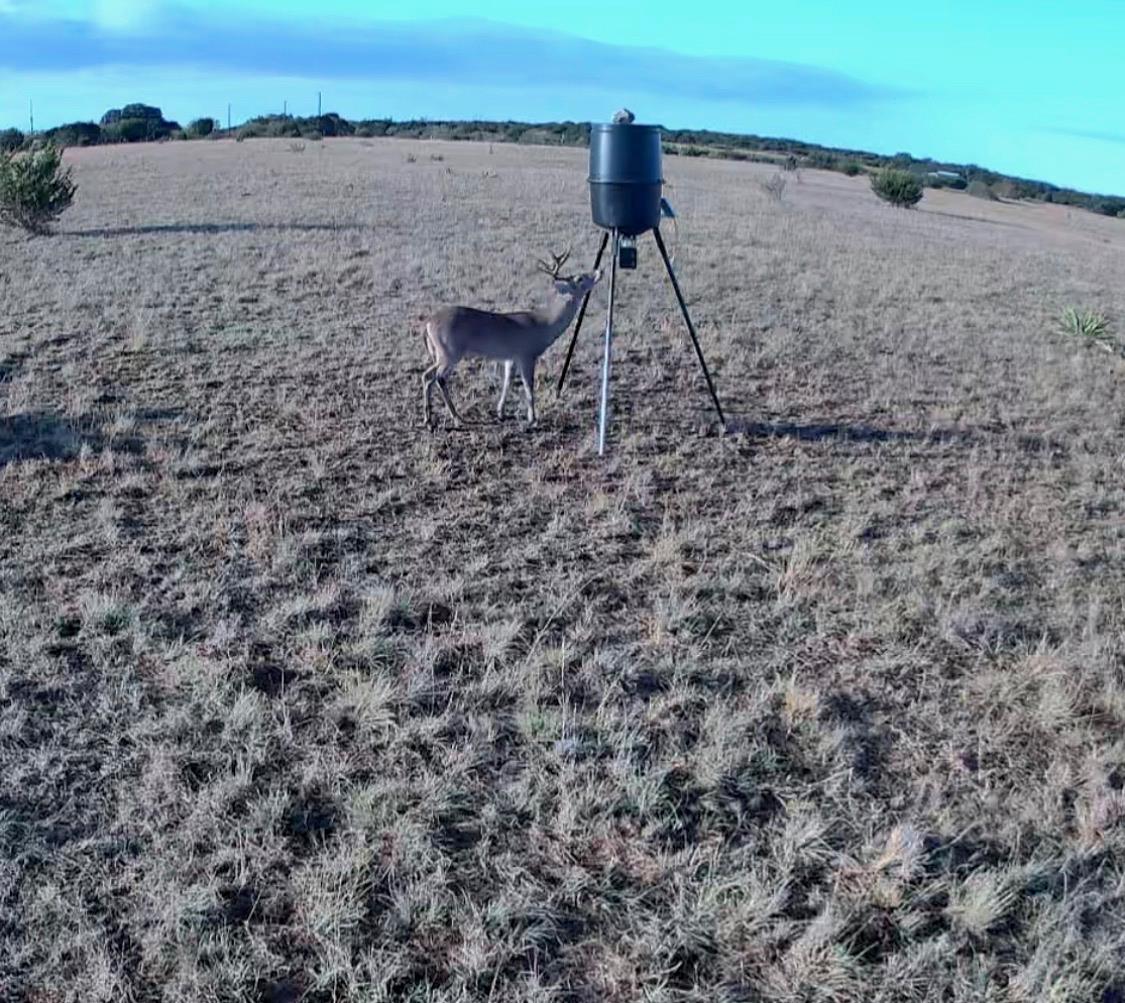 39 330, Goldthwaite, TX 76844