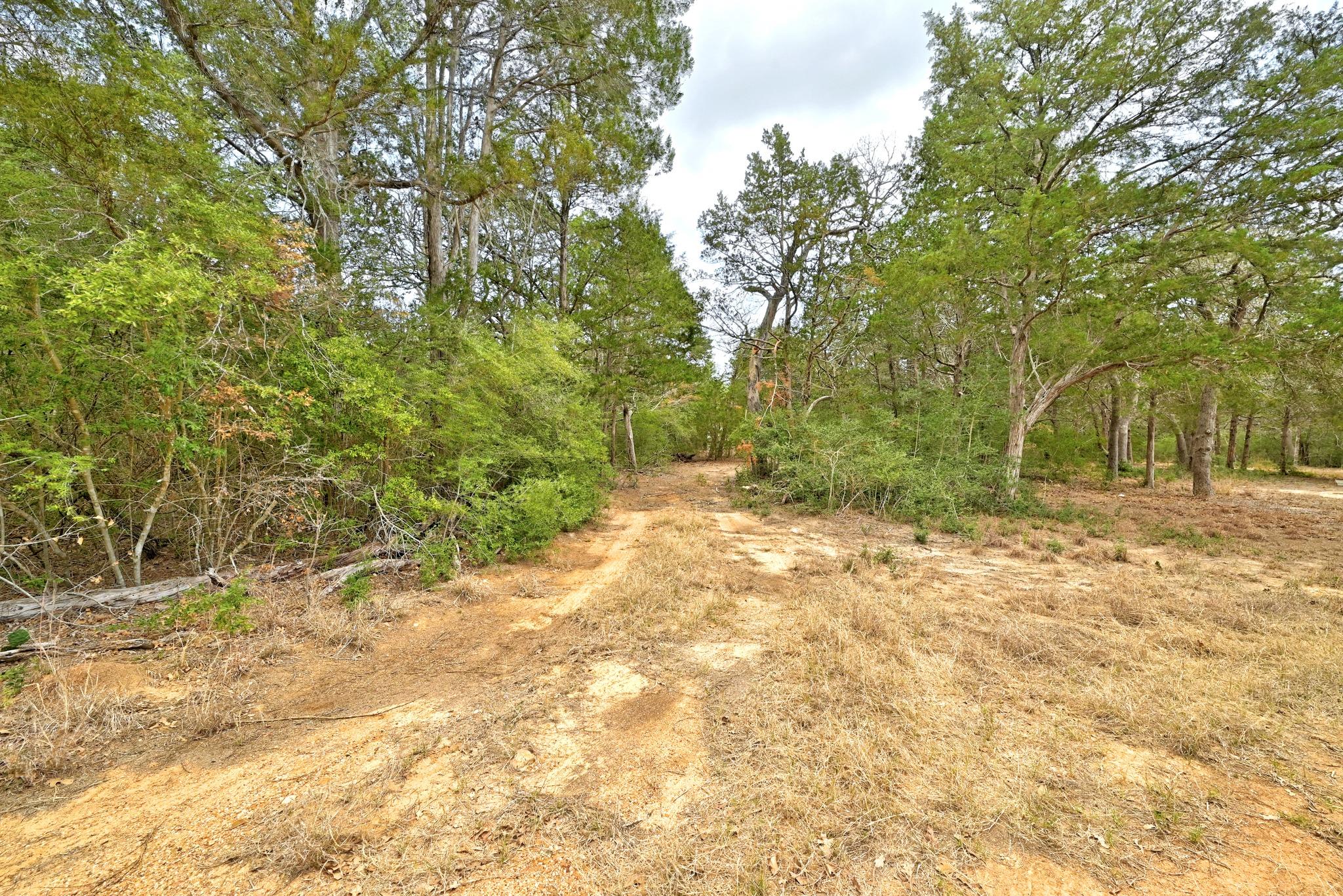 109 Crepe Myrtle Rd, Bastrop, TX 78602