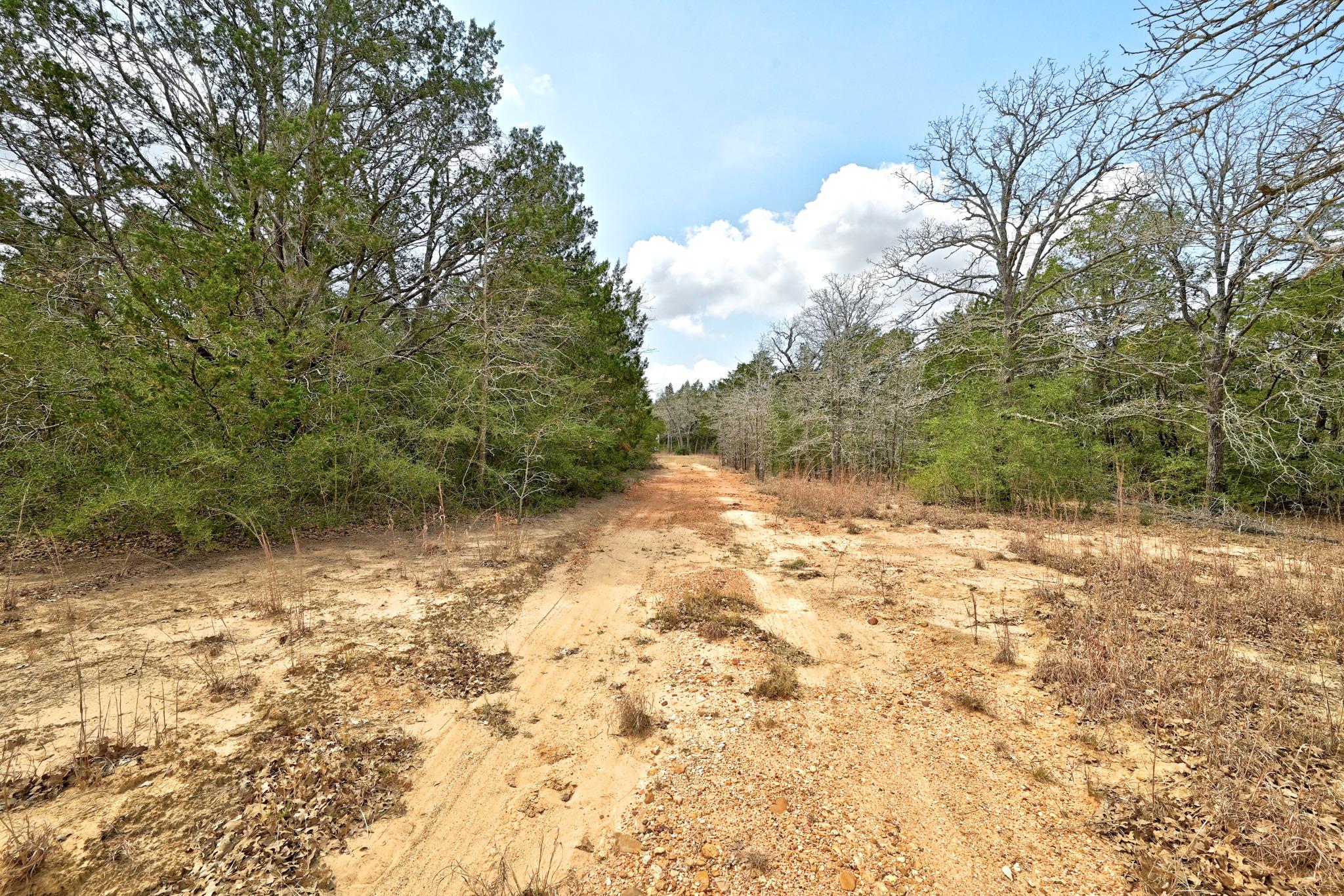 109 Crepe Myrtle Rd, Bastrop, TX 78602