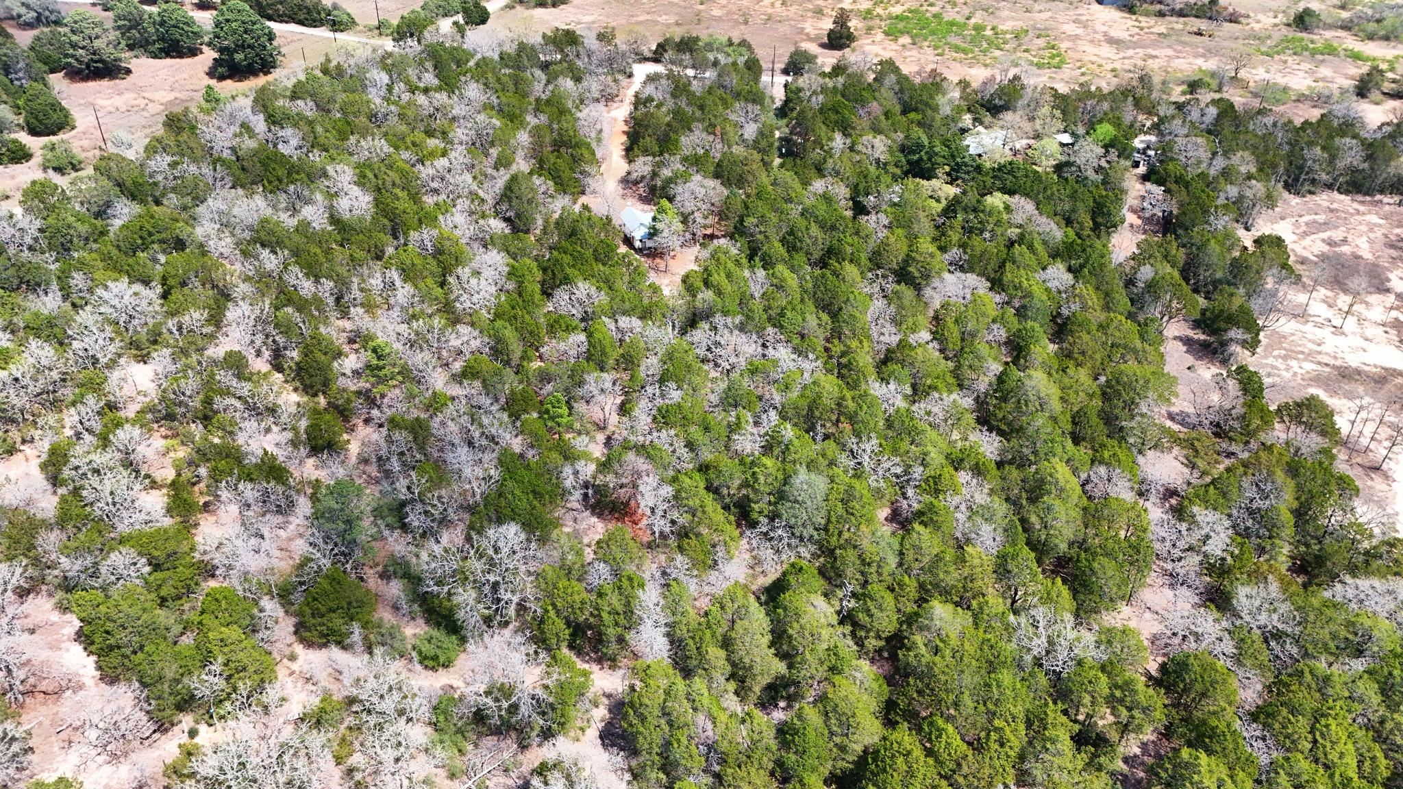 109 Crepe Myrtle Rd, Bastrop, TX 78602