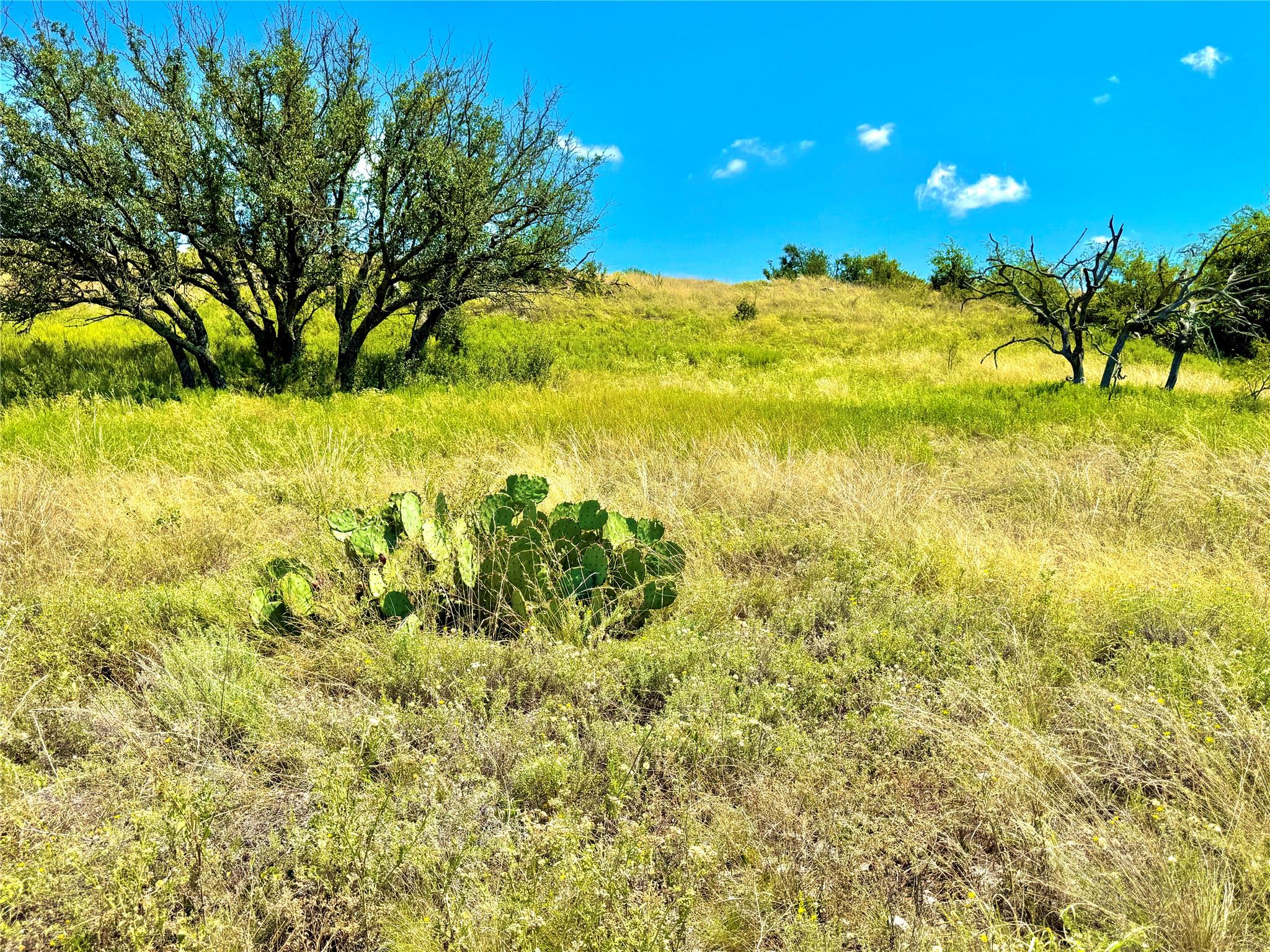 80 E FM 572, Goldthwaite, TX 76844