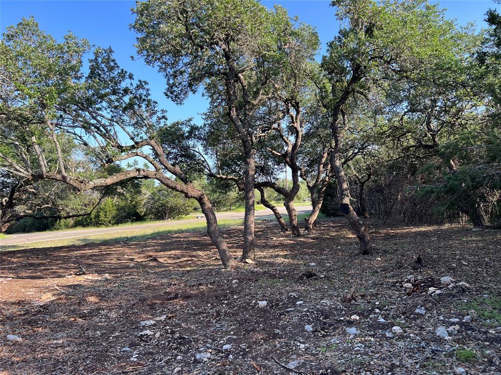 304 Stonegate Ln, Dripping Springs, TX 78620