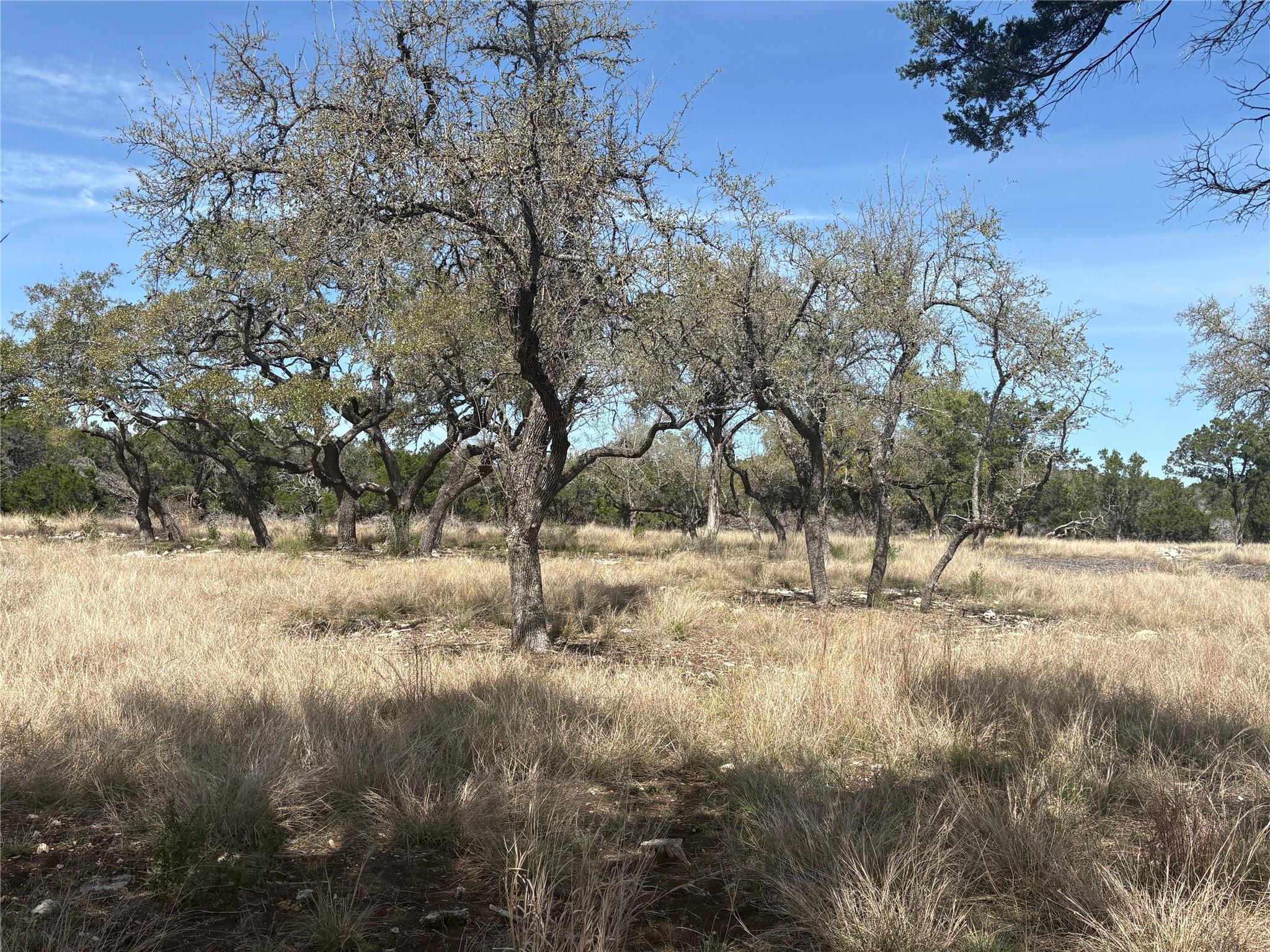 304 Stonegate Ln, Dripping Springs, TX 78620