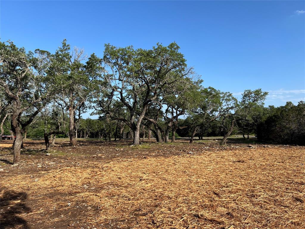 304 Stonegate Ln, Dripping Springs, TX 78620