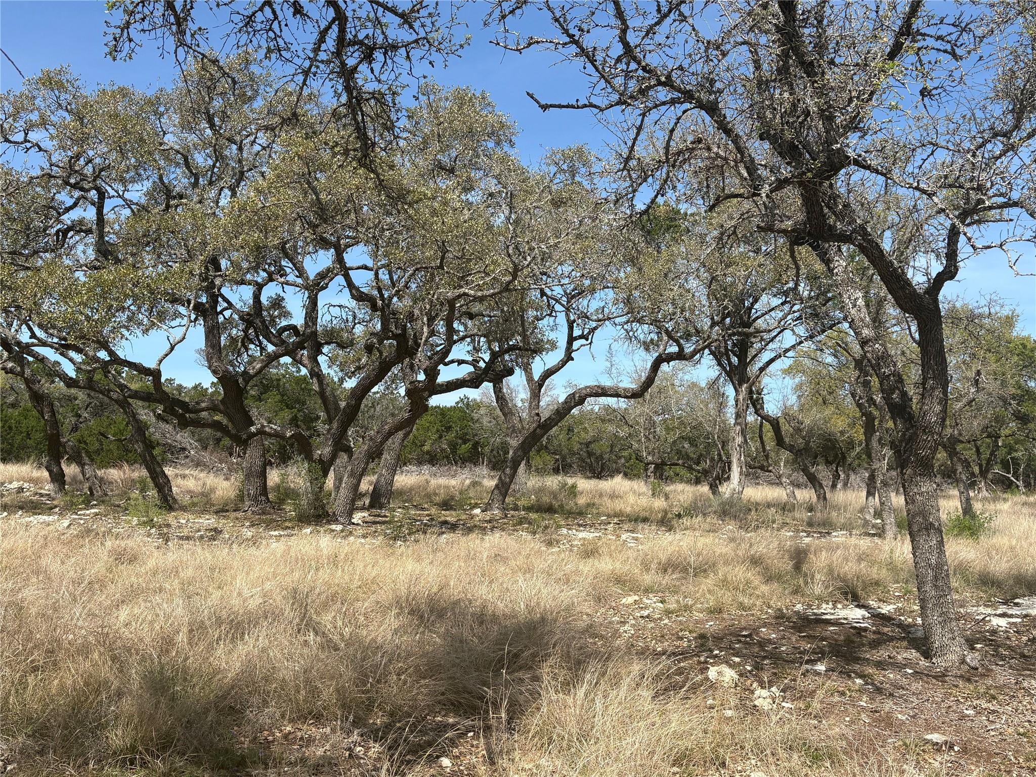 304 Stonegate Ln, Dripping Springs, TX 78620