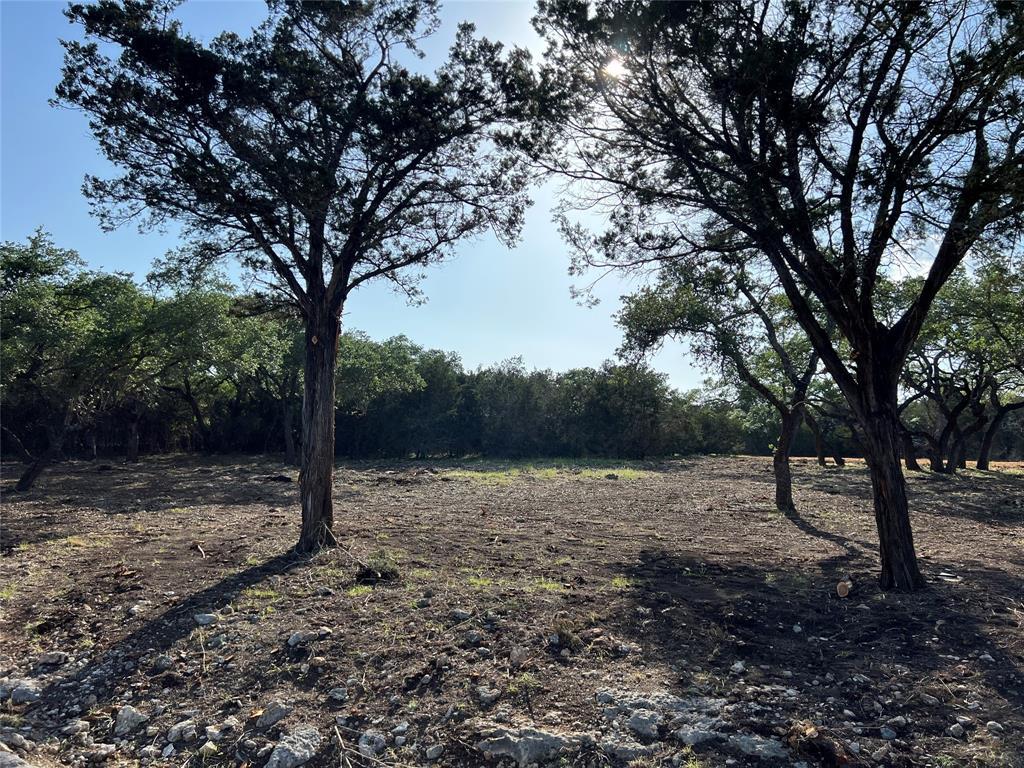 304 Stonegate Ln, Dripping Springs, TX 78620