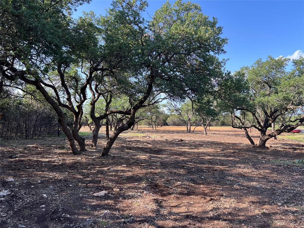 304 Stonegate Ln, Dripping Springs, TX 78620