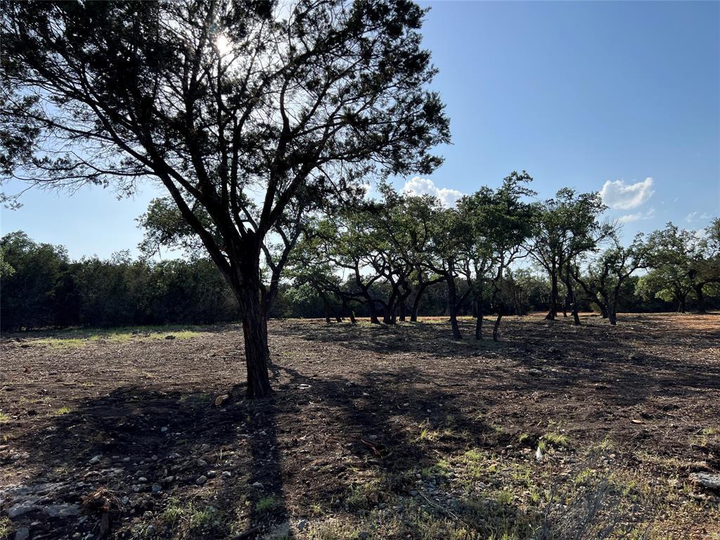 304 Stonegate Ln, Dripping Springs, TX 78620