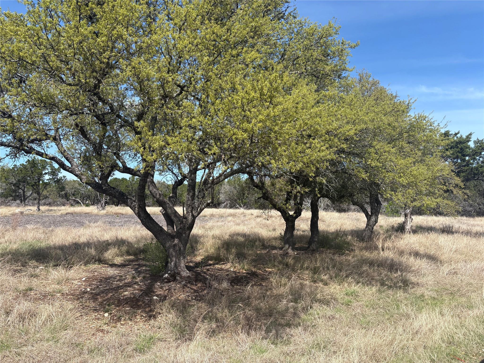 304 Stonegate Ln, Dripping Springs, TX 78620