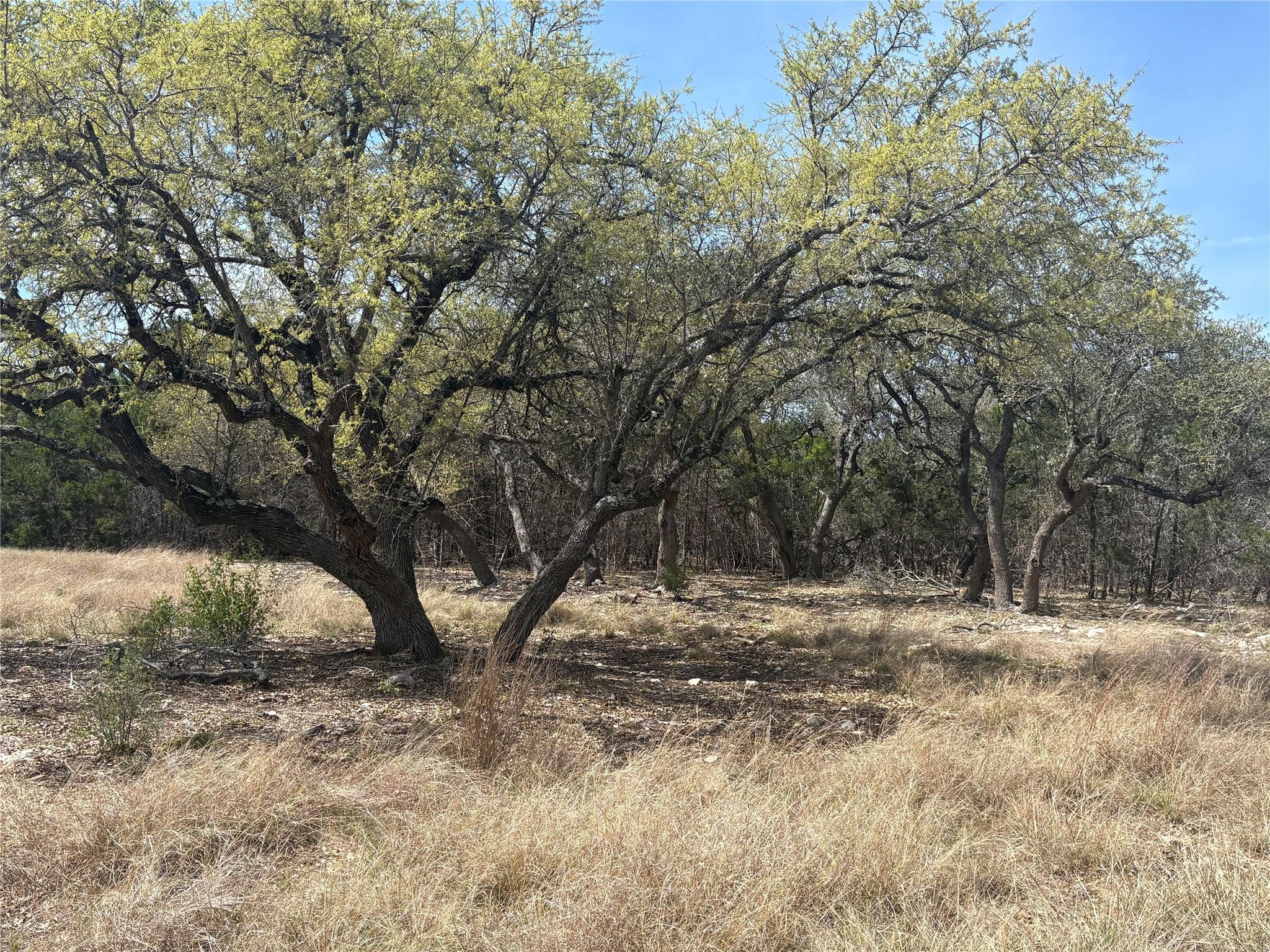 304 Stonegate Ln, Dripping Springs, TX 78620