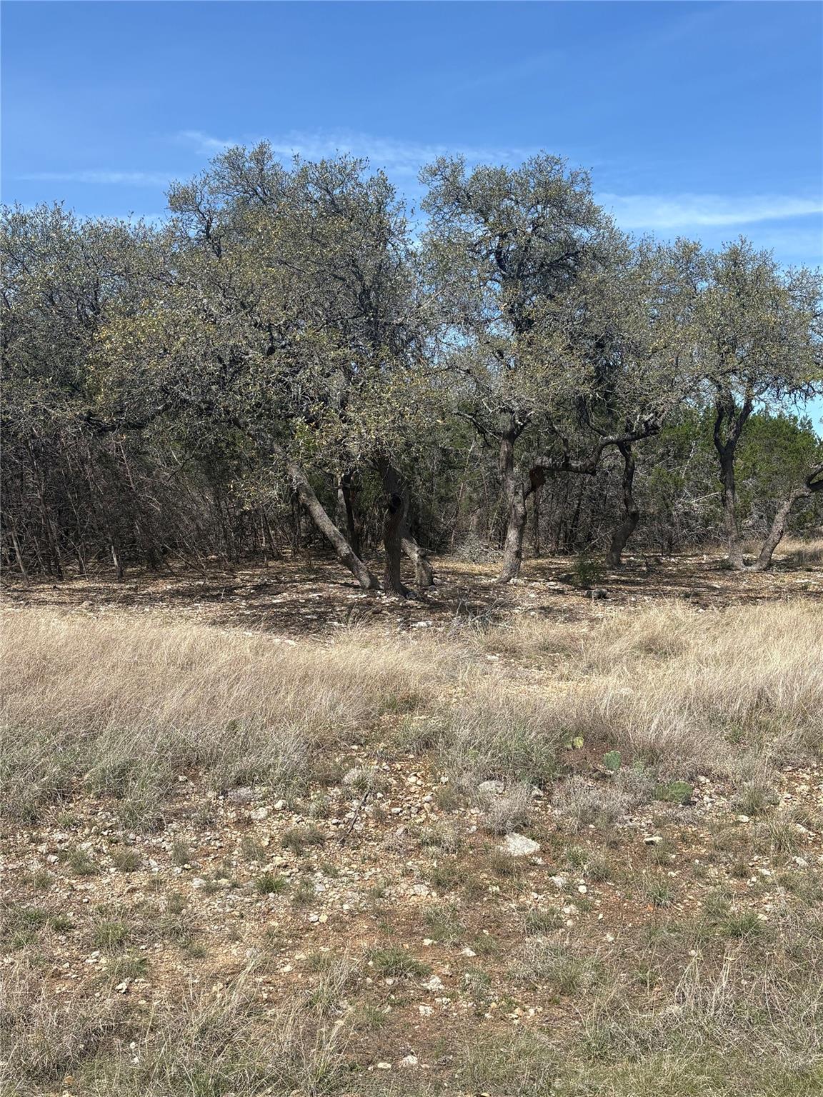 304 Stonegate Ln, Dripping Springs, TX 78620