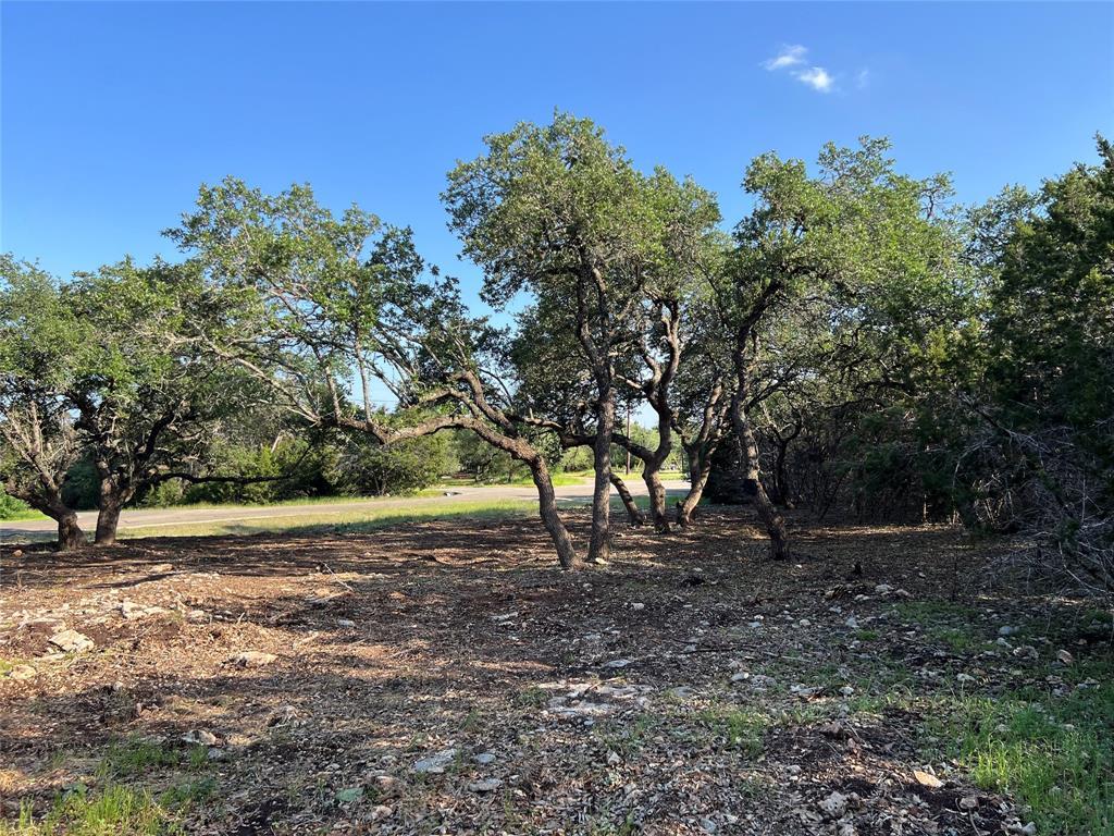 304 Stonegate Ln, Dripping Springs, TX 78620