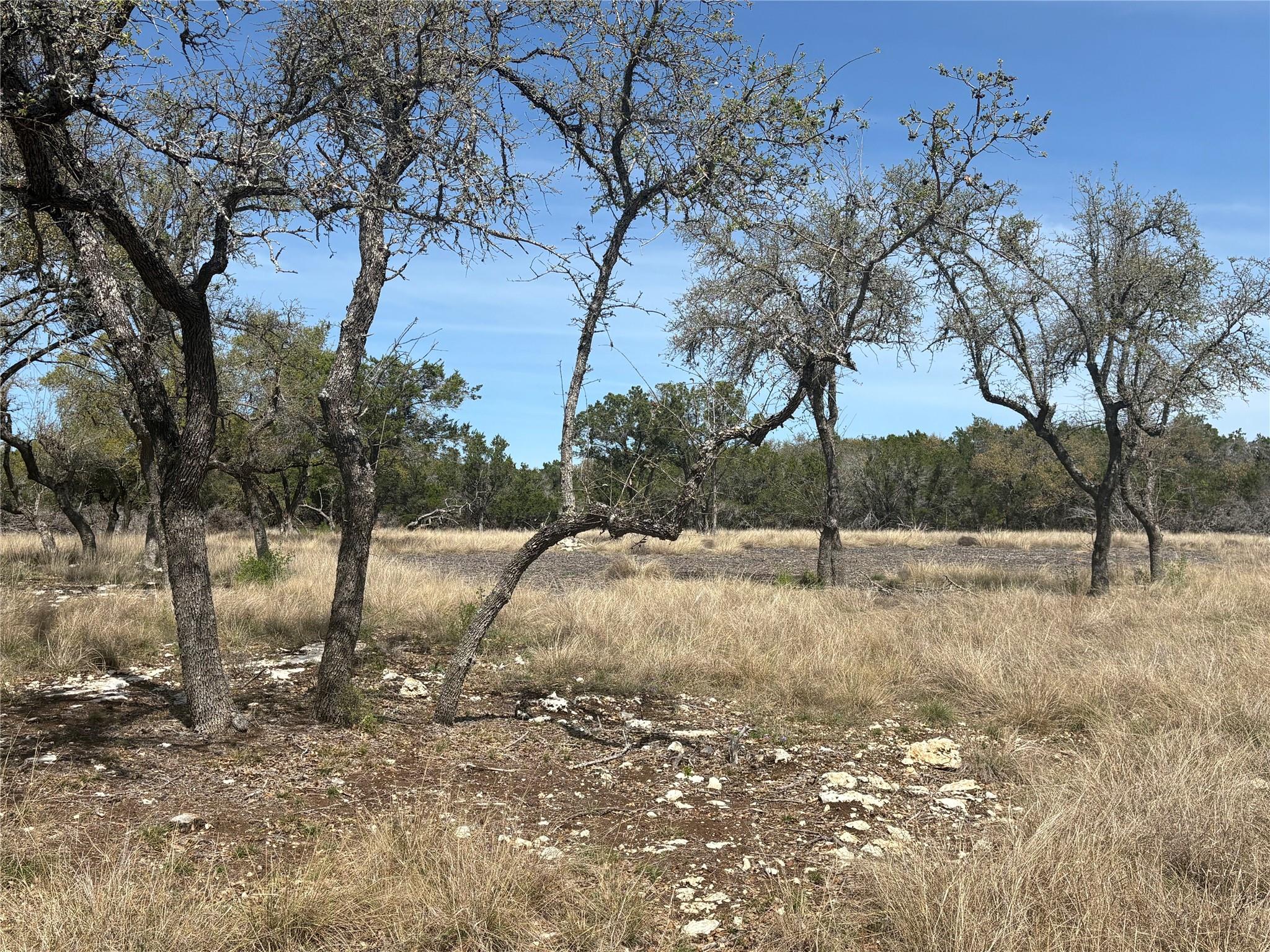 304 Stonegate Ln, Dripping Springs, TX 78620