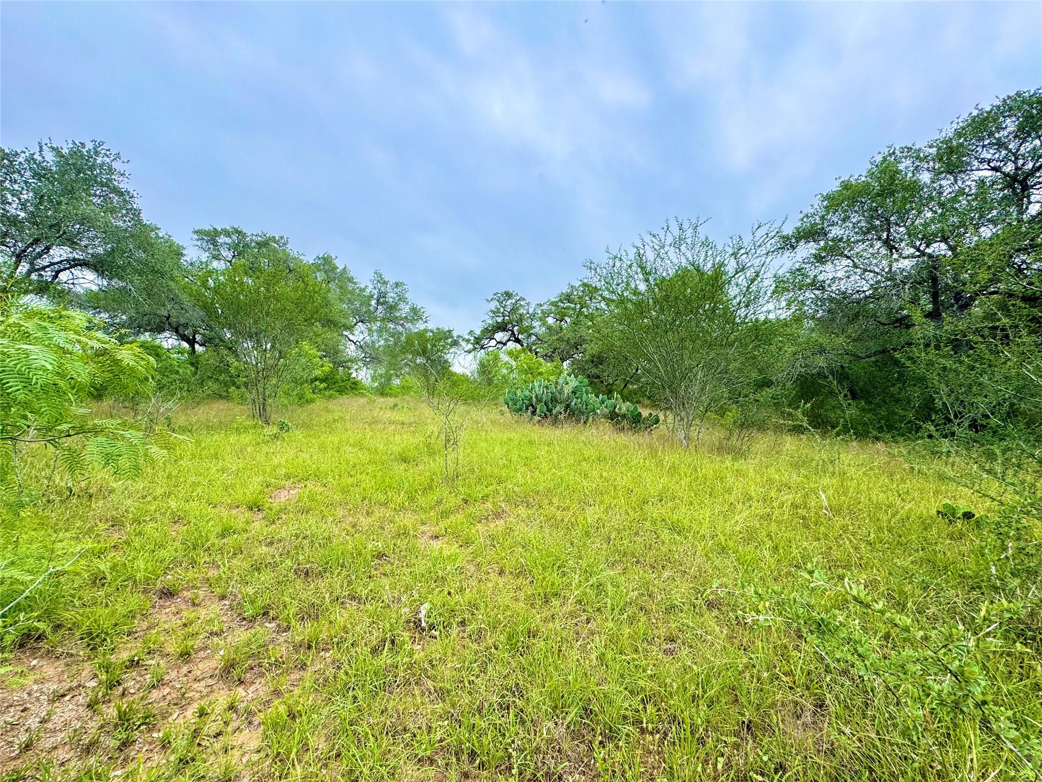 TBD Tract Q FM 108, Smiley, TX 78159