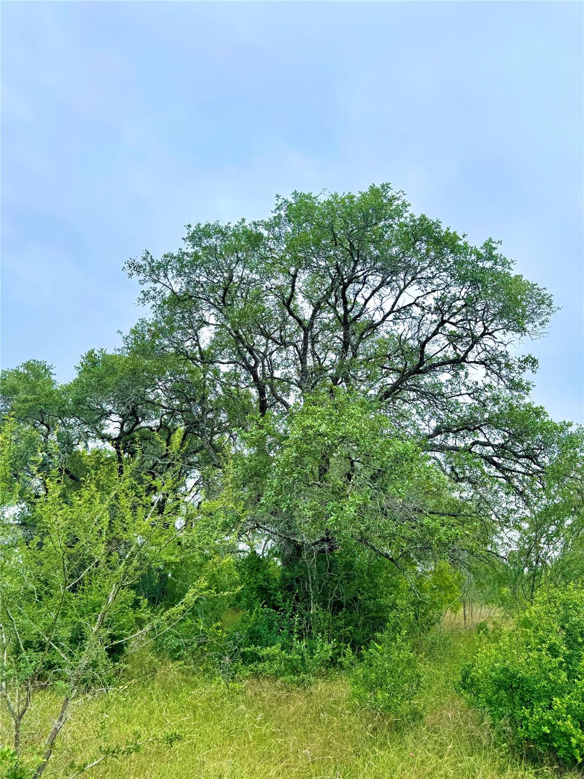 TBD Tract Q FM 108, Smiley, TX 78159