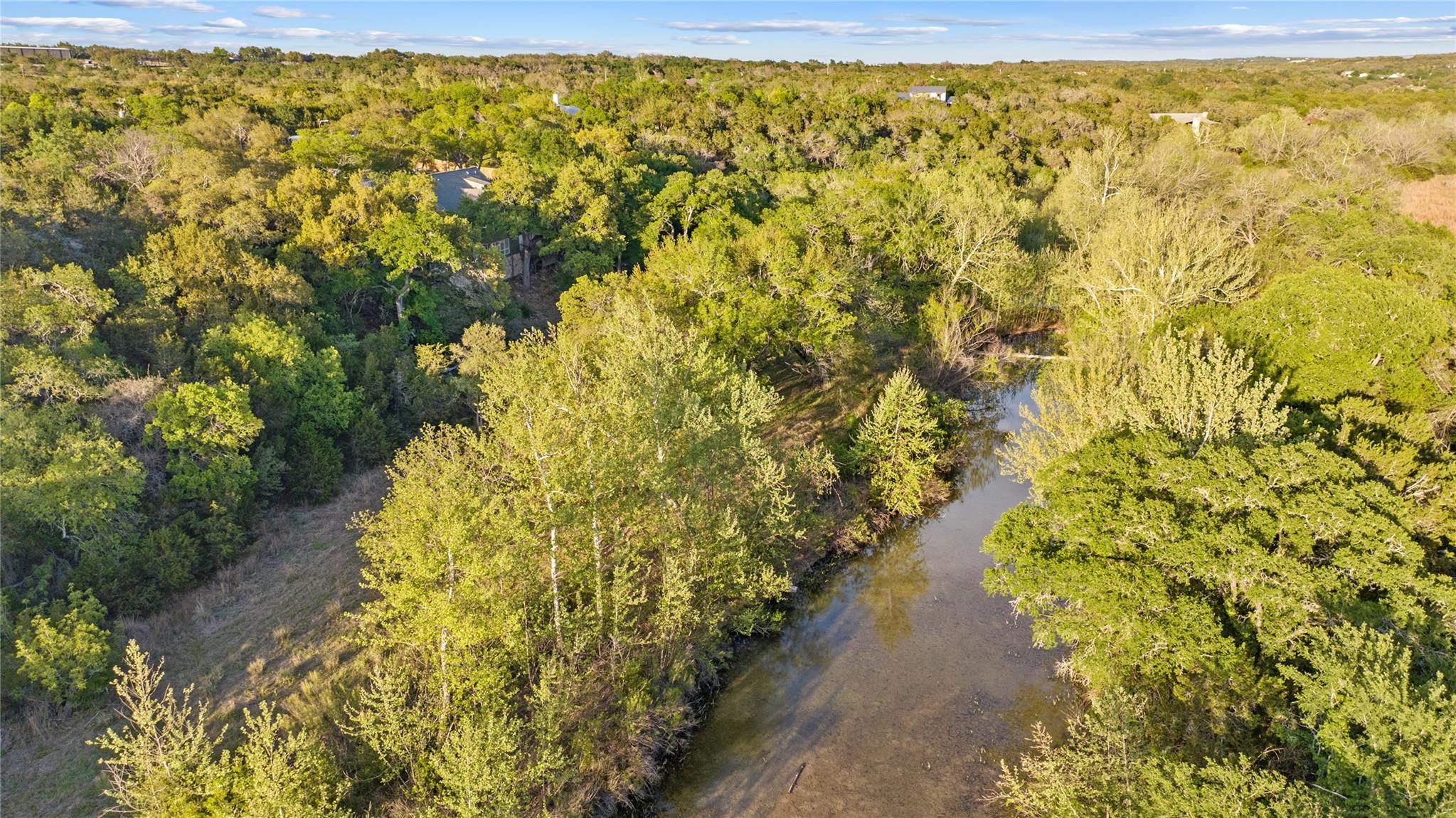 15407 Fitzhugh Pl, Dripping Springs, TX 78620