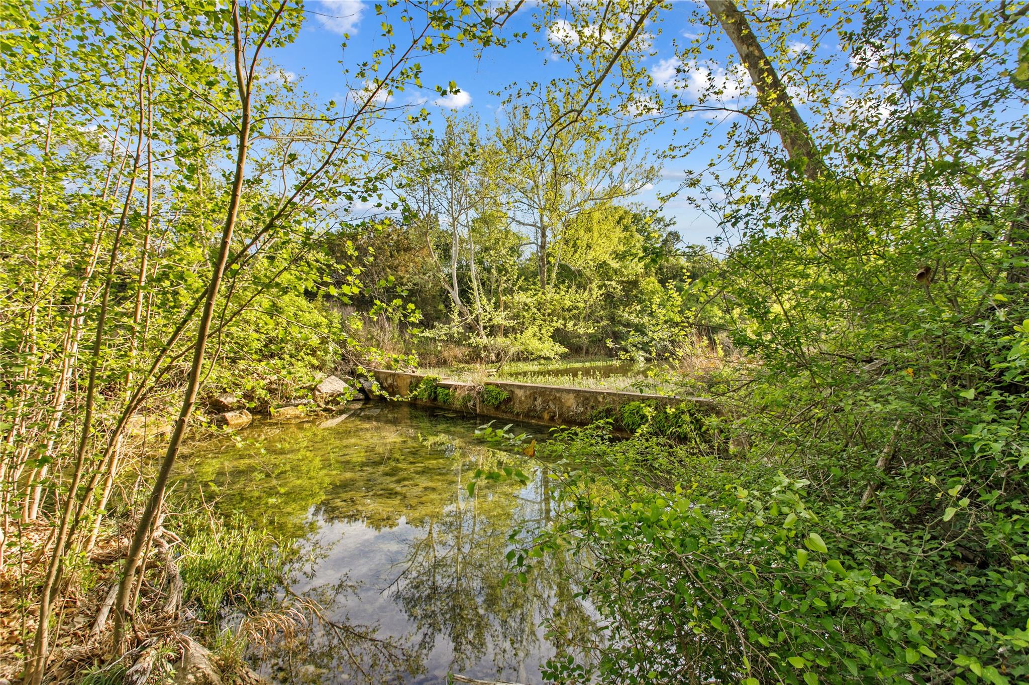 15407 Fitzhugh Pl, Dripping Springs, TX 78620