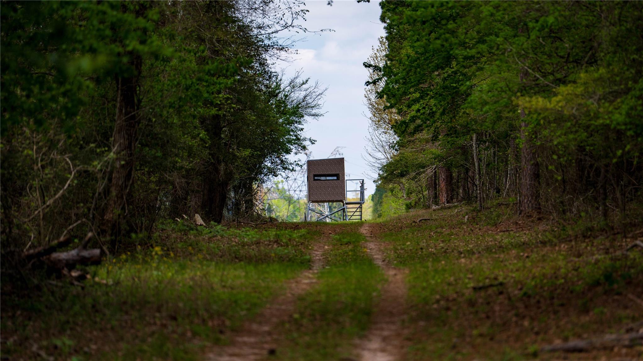 3860 Fm 2259, Nacogdoches, TX 75961