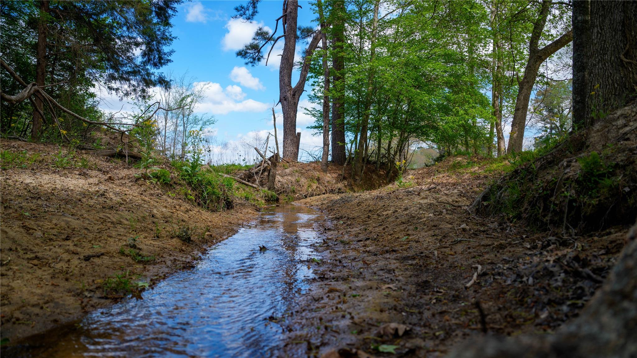 3860 Fm 2259, Nacogdoches, TX 75961