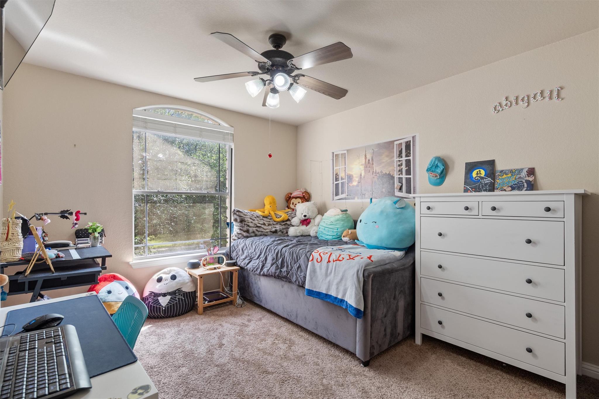 1008 Placid Creek Ct, Round Rock, TX 78665