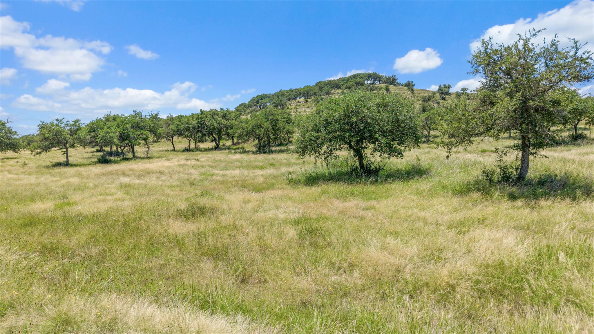 TBD Kendalia Rd, Blanco, TX 78606