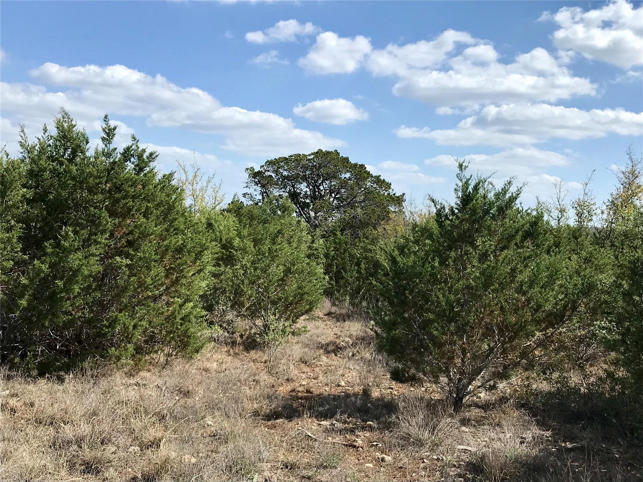 970-B 32, San Marcos, TX 78666