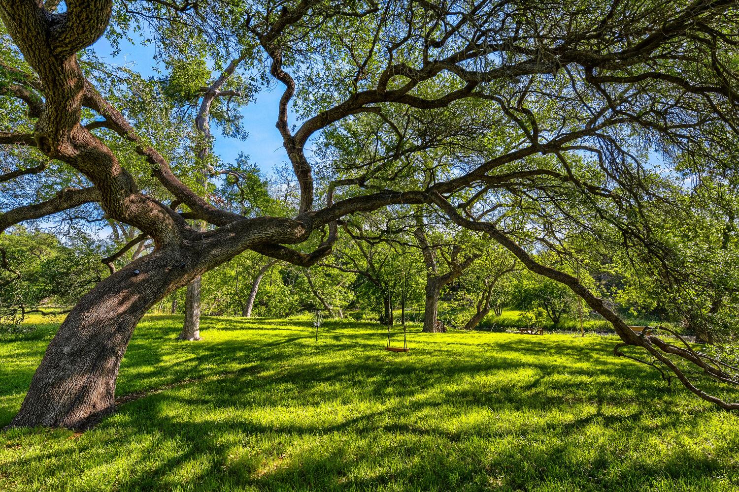 4903 Buckskin Pass, Austin, TX 78745