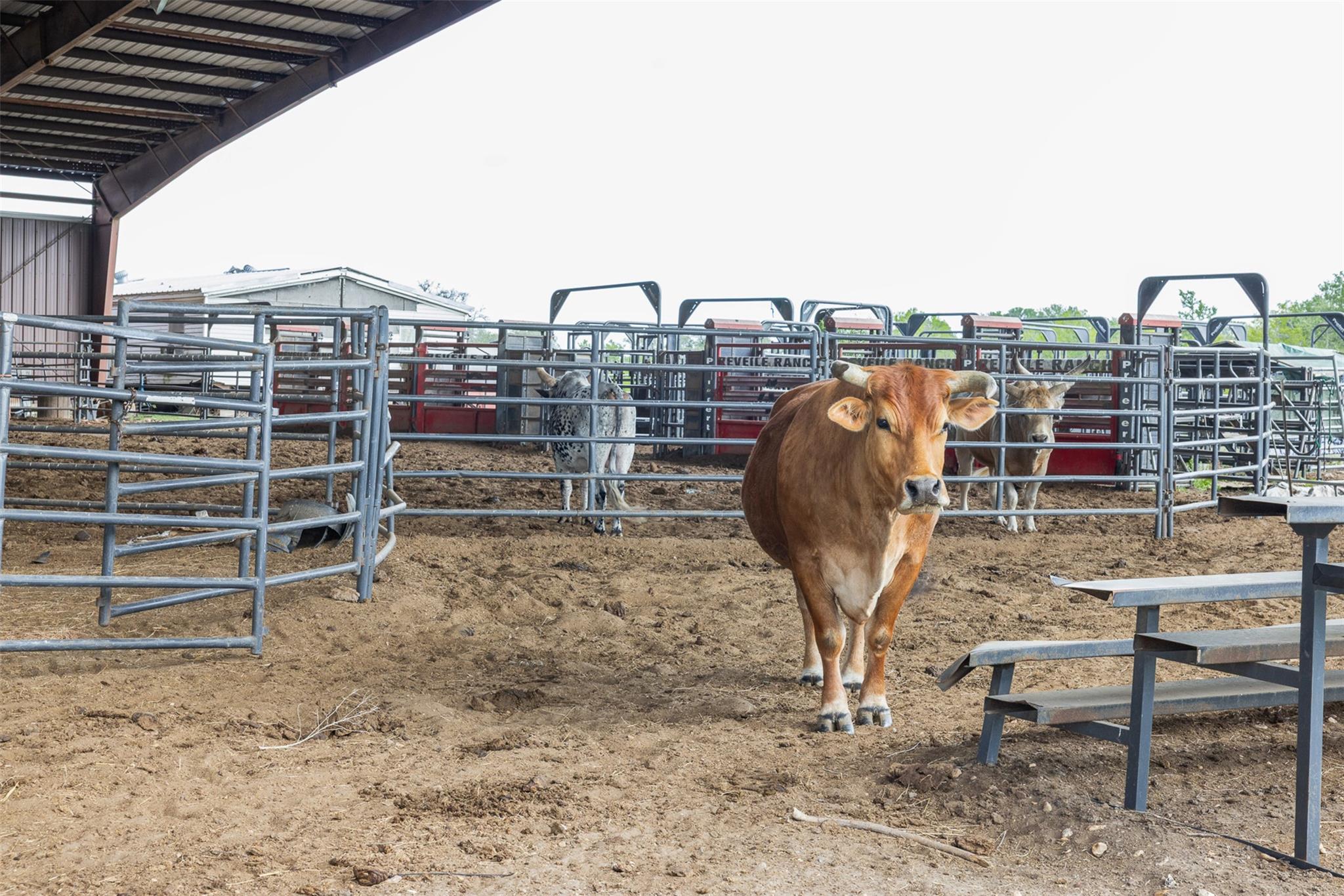 8519 State Park Rd, Lockhart, TX 78644