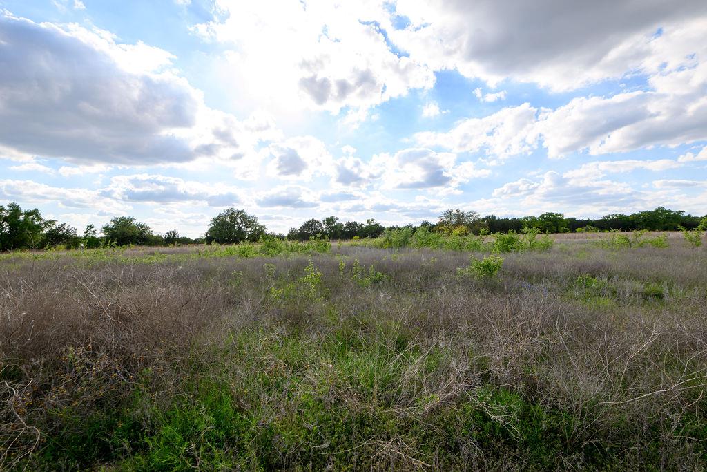 177 W Rio Ranch Rd, Liberty Hill, TX 78642