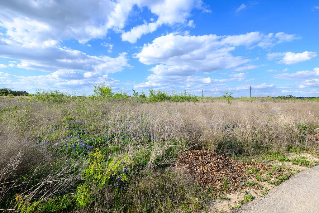 177 W Rio Ranch Rd, Liberty Hill, TX 78642