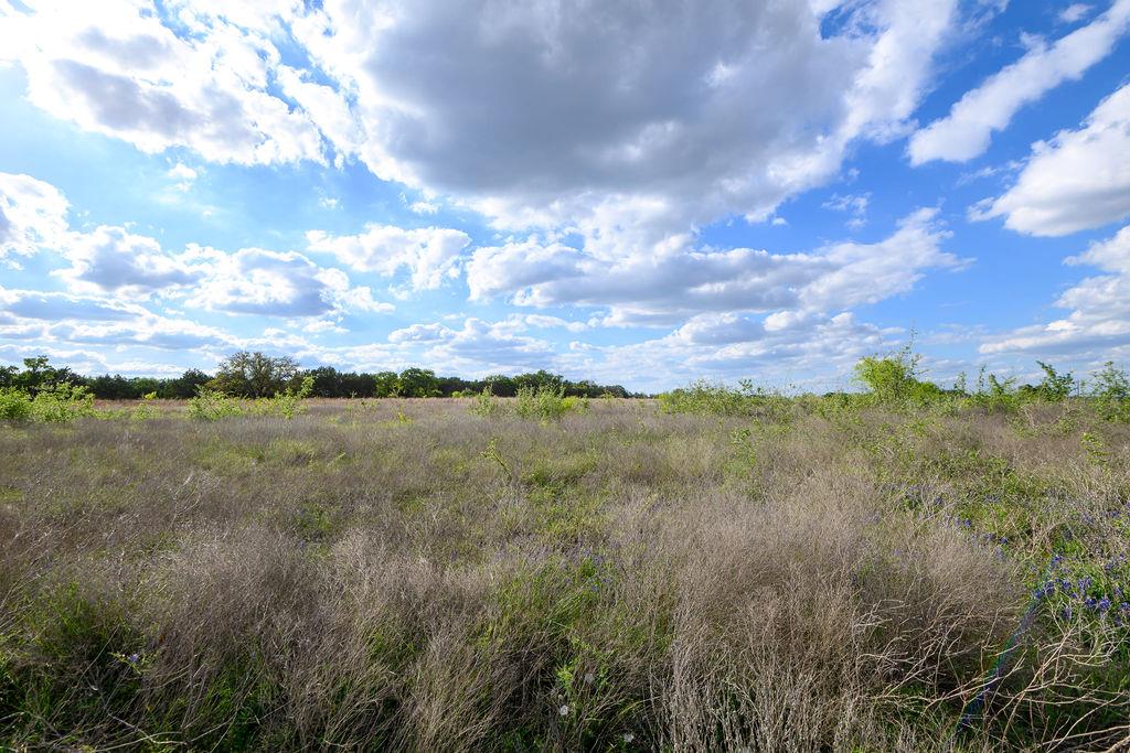 177 W Rio Ranch Rd, Liberty Hill, TX 78642