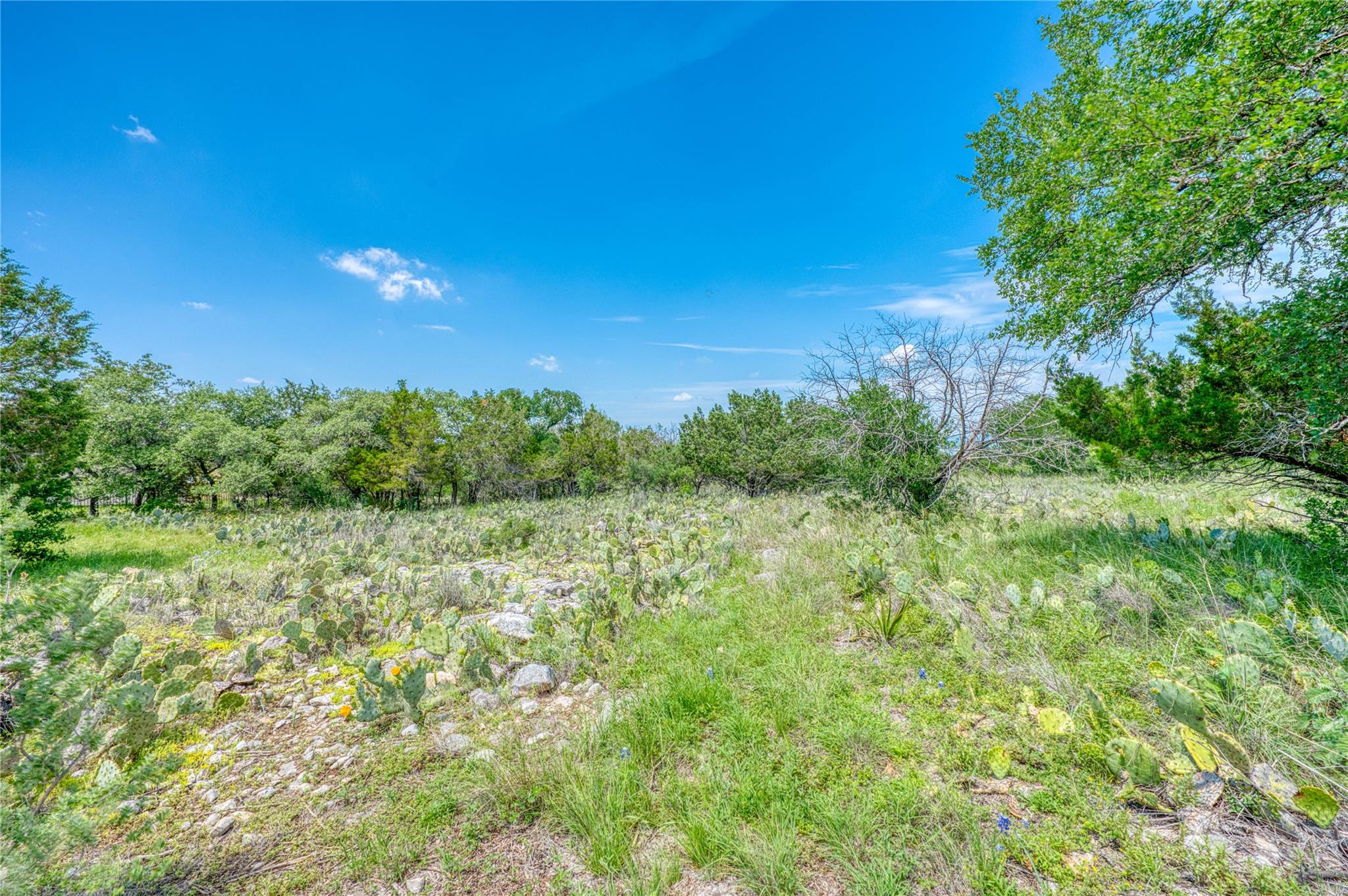 204 Mount Dew Rd, Horseshoe Bay, TX 78657