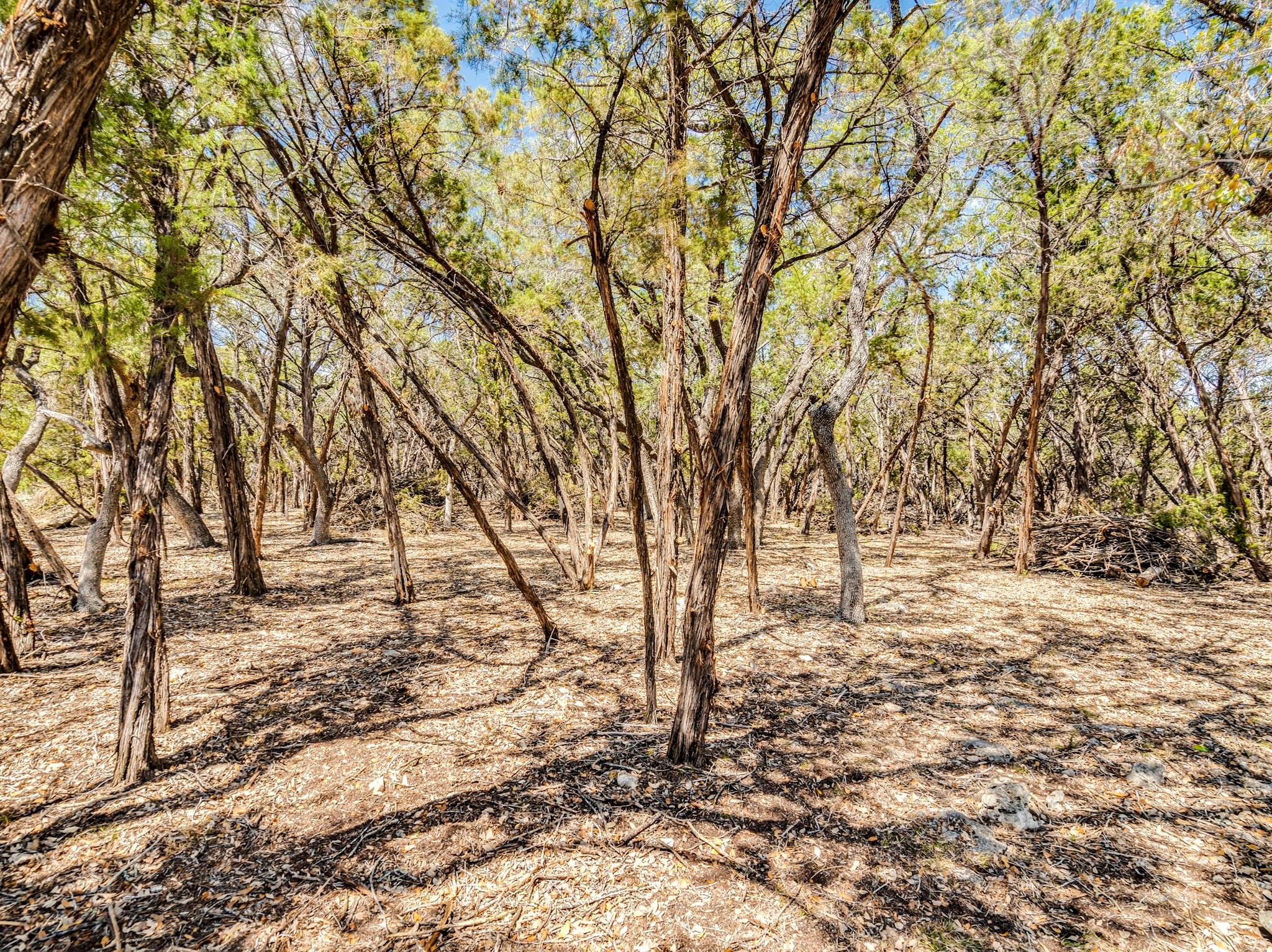 2 Agave Ct, Wimberley, TX 78676