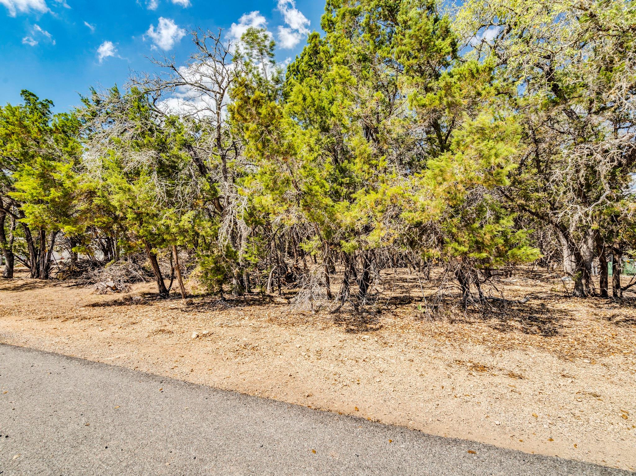 2 Agave Ct, Wimberley, TX 78676