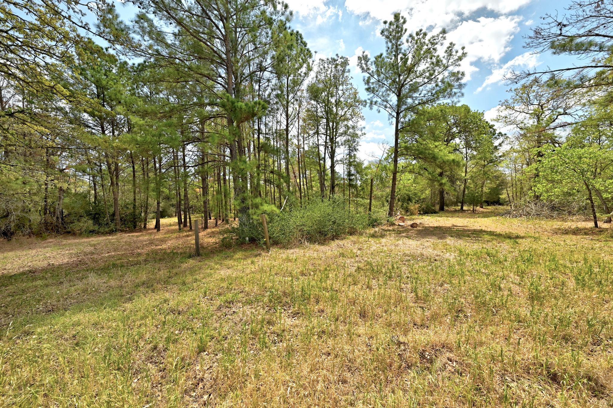 159 Farris Ln, Smithville, TX 78957