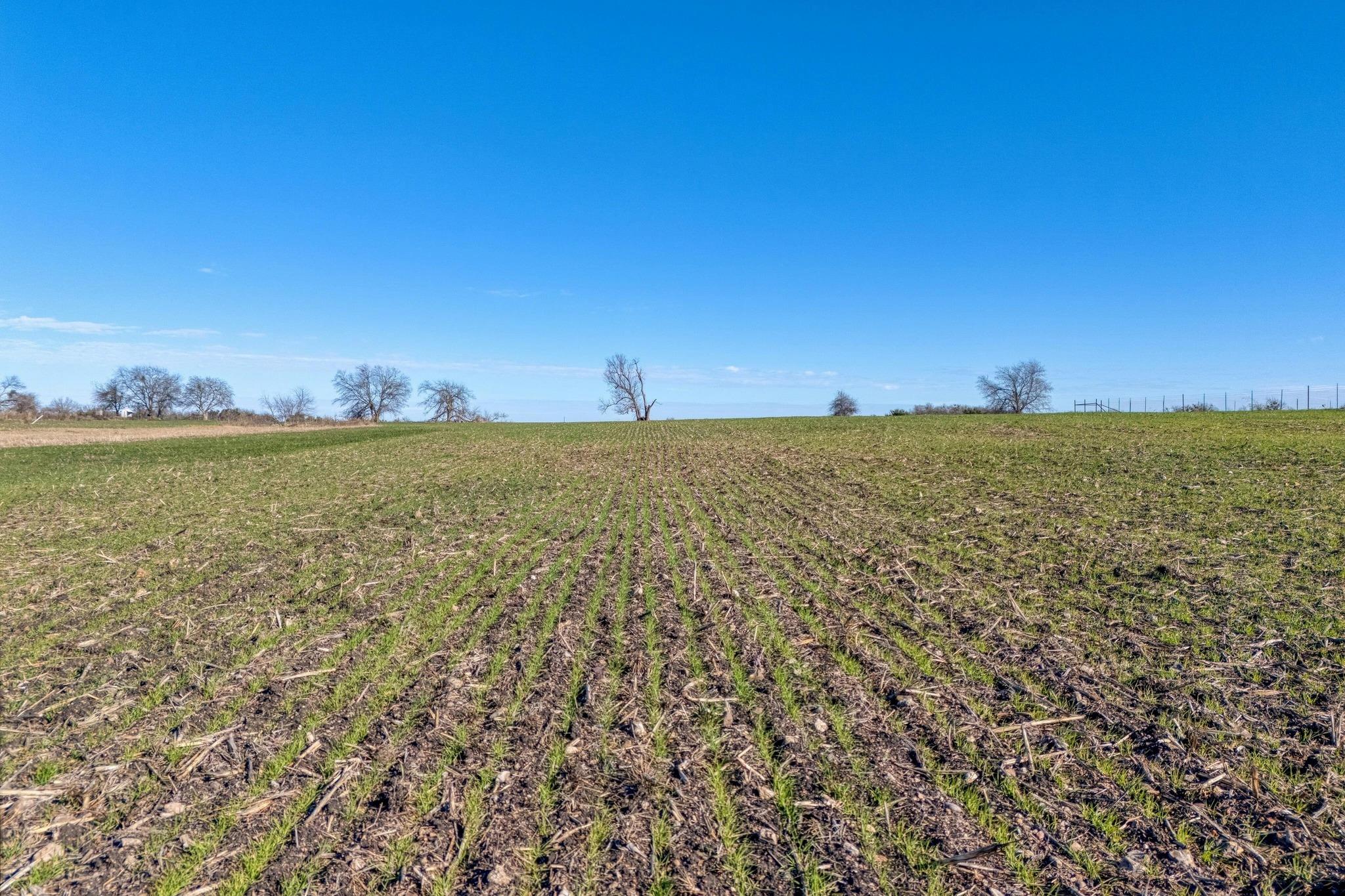 18502 FM 2268, Holland, TX 76534