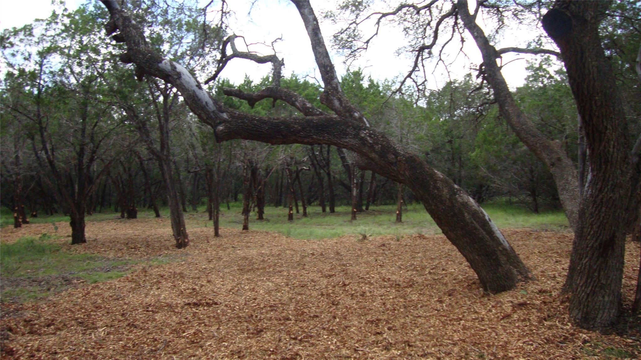 36 Travis Oaks Dr, Marble Falls, TX 78654