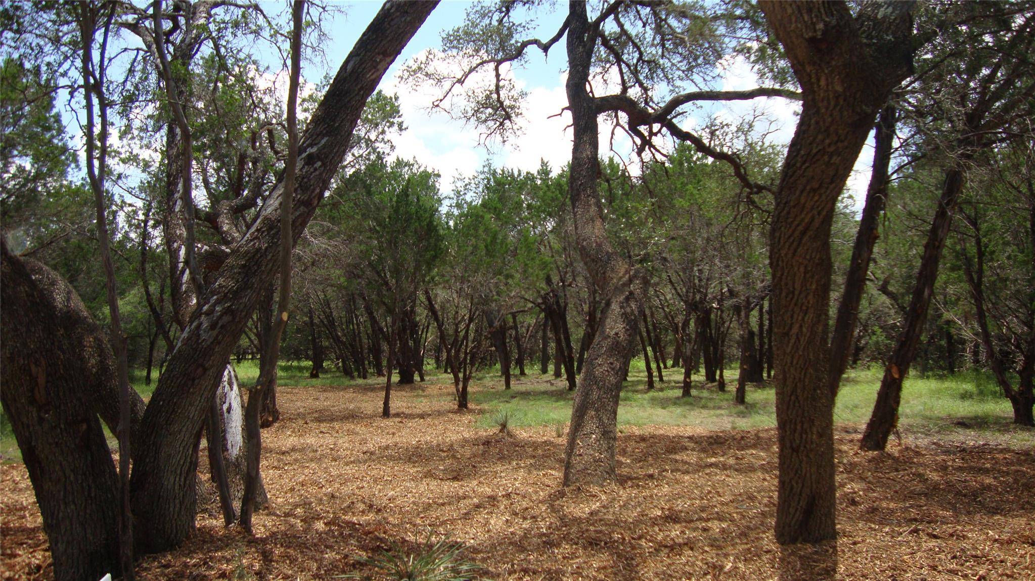 36 Travis Oaks Dr, Marble Falls, TX 78654