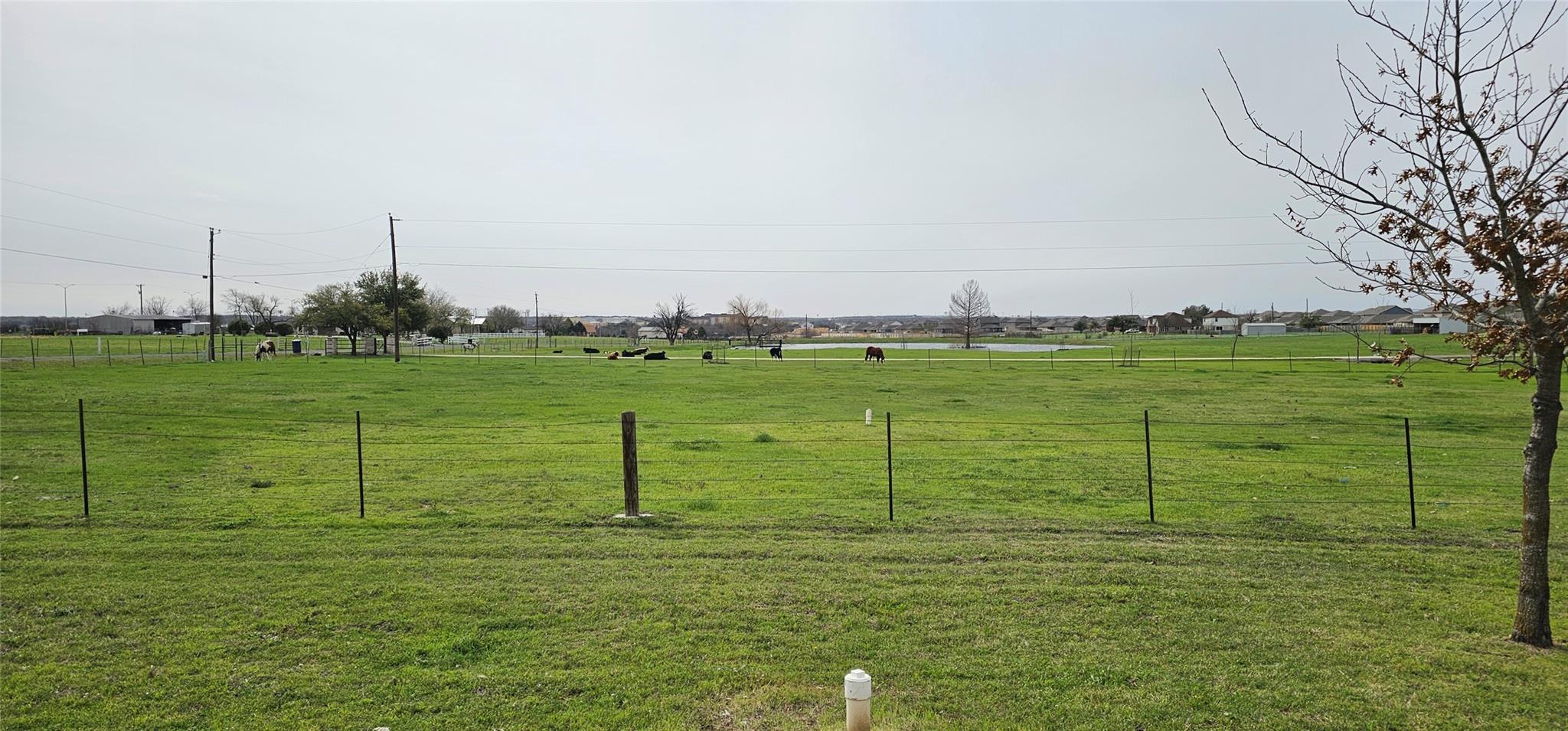 16 Brenda Ln, Round Rock, TX 78665