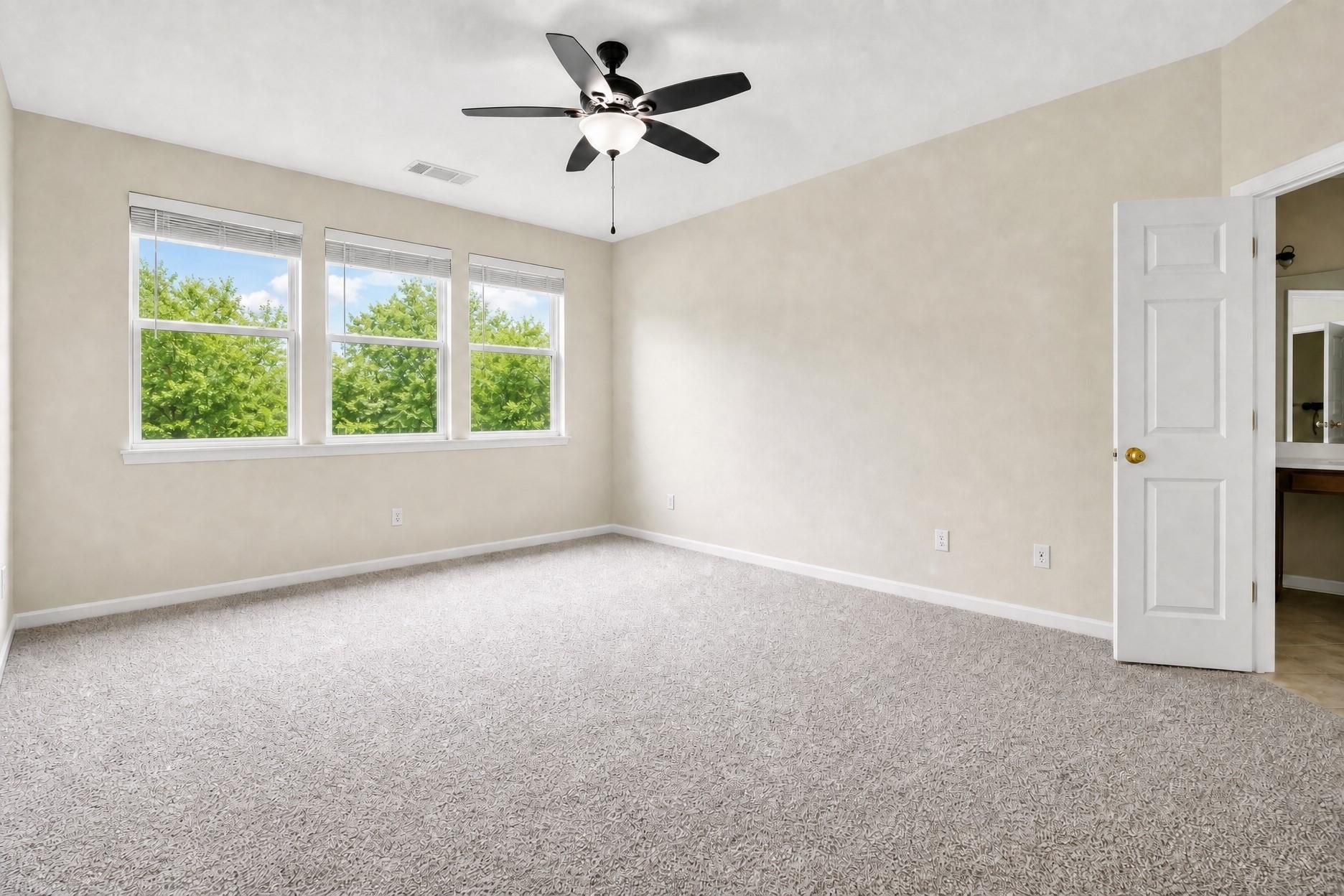 4406 Cierne Cv, Round Rock, TX 78681