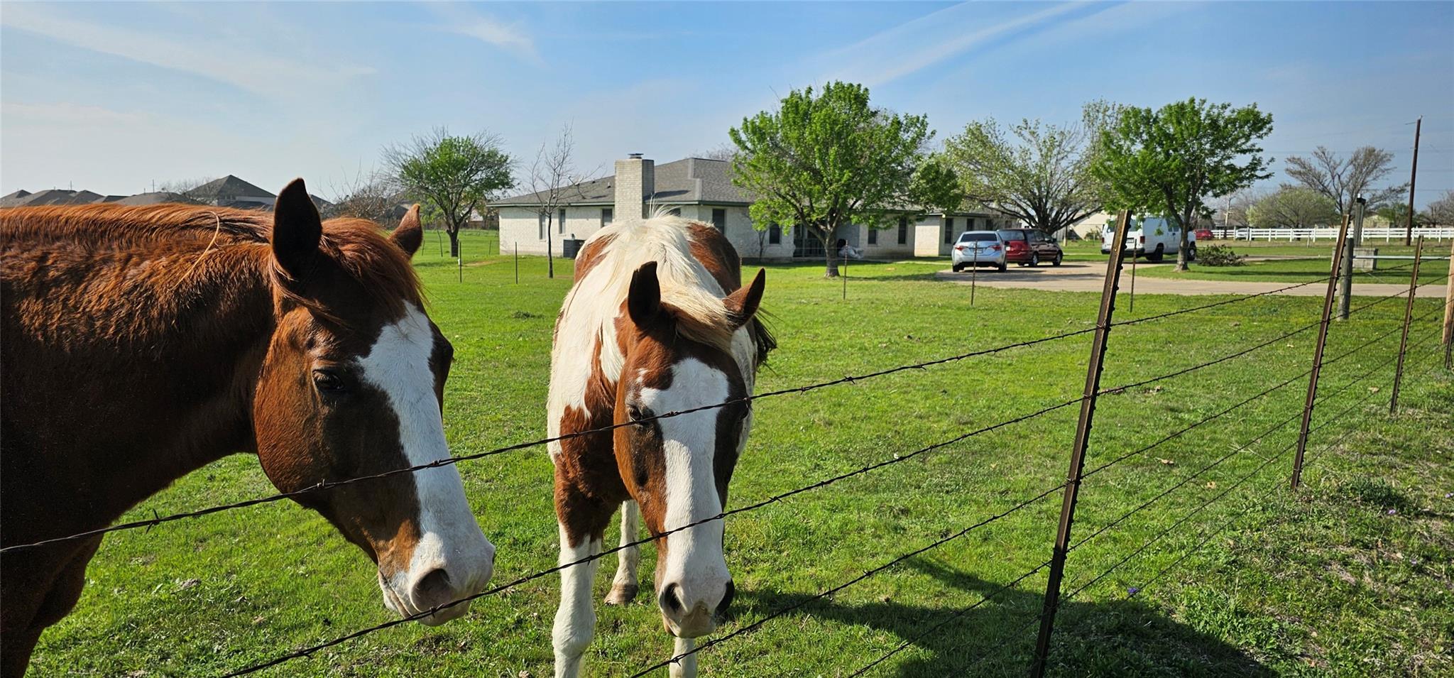 16 Brenda Ln, Round Rock, TX 78665