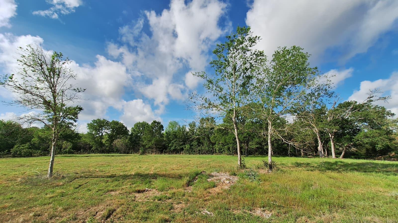 1284 Beaver Lake Dr, Caldwell, TX 77836