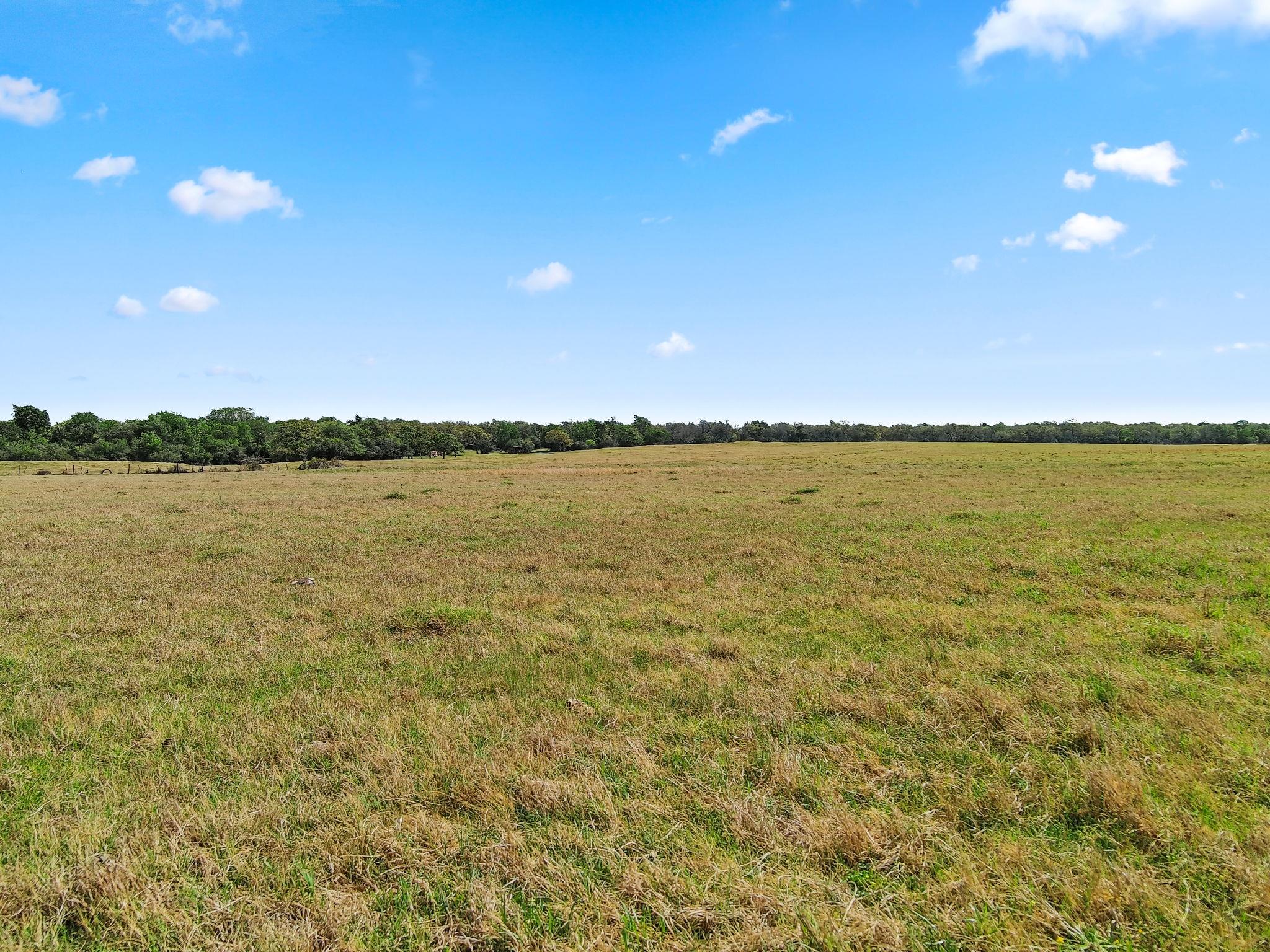 3669 County Road 326, Lexington, TX 78947