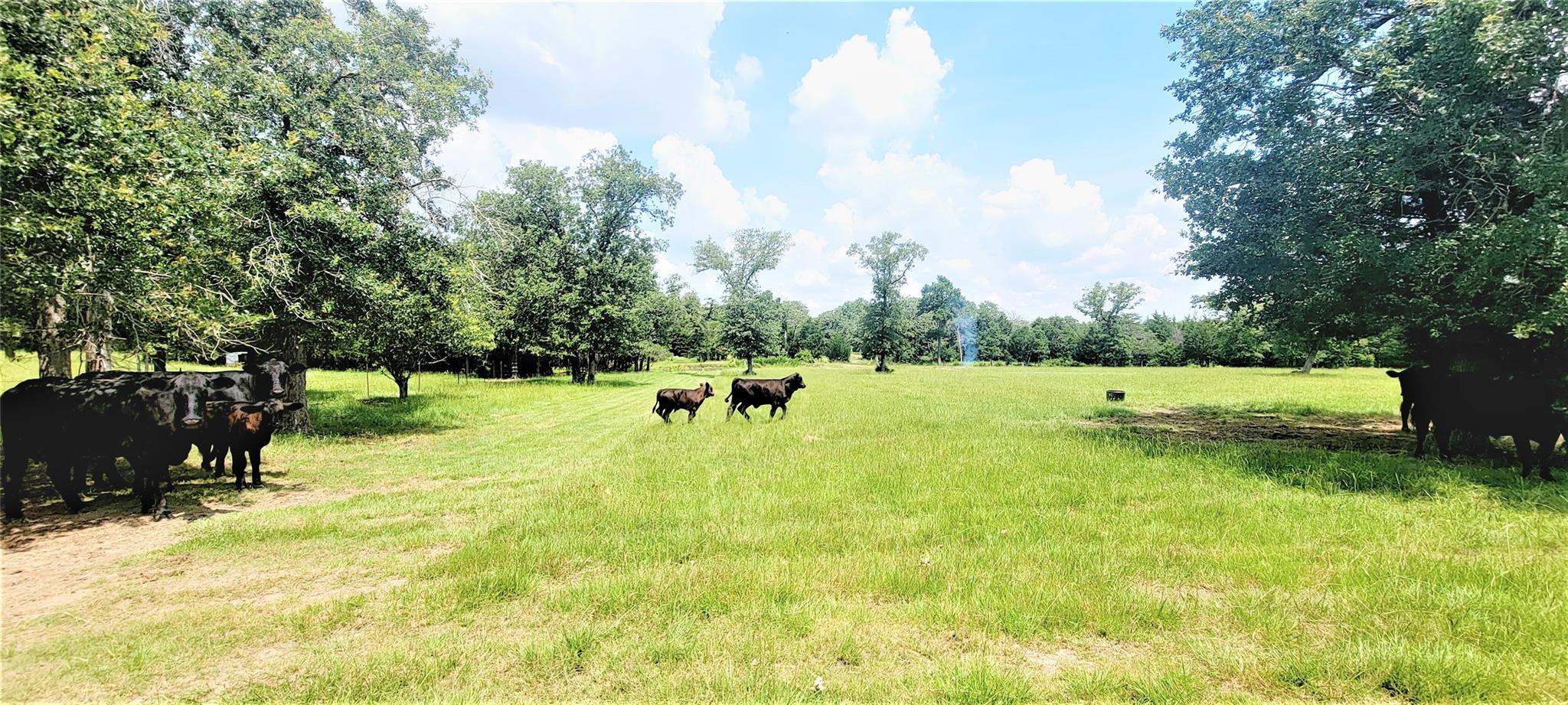 3321 County Road 457, Thorndale, TX 76577